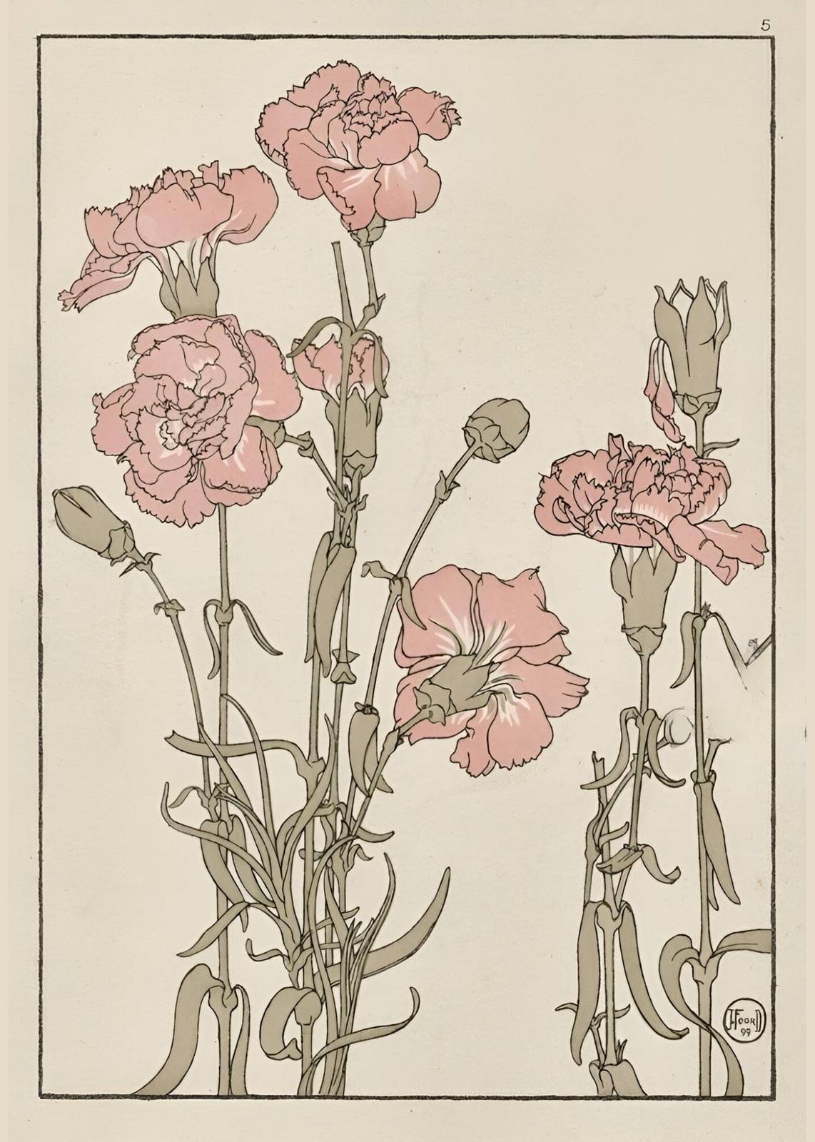 Elegant Pink Carnations Botanical Art Wall Art