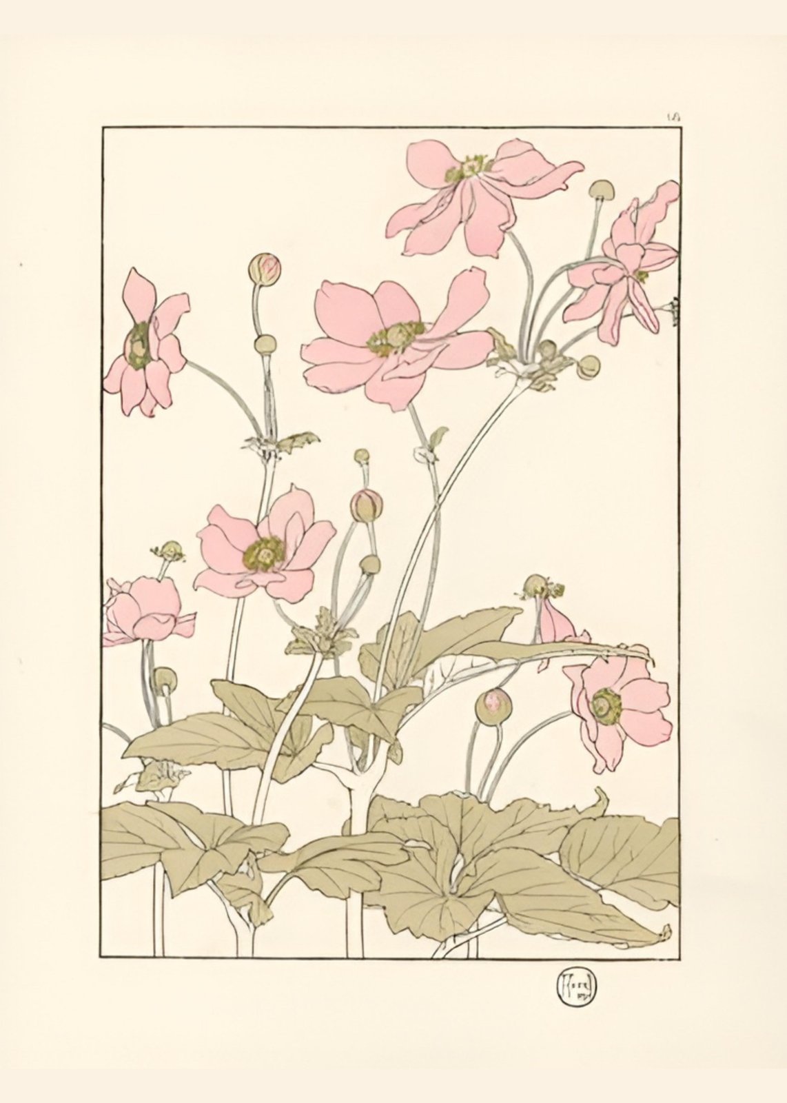 Blush Blossom Japanese Anemone Wall Art