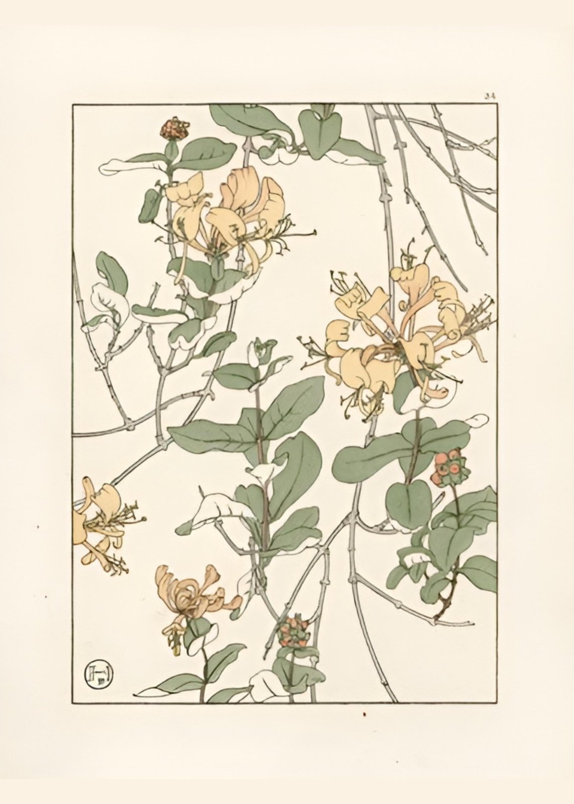 Vintage Honeysuckle Botanical Wall Art Wall Art