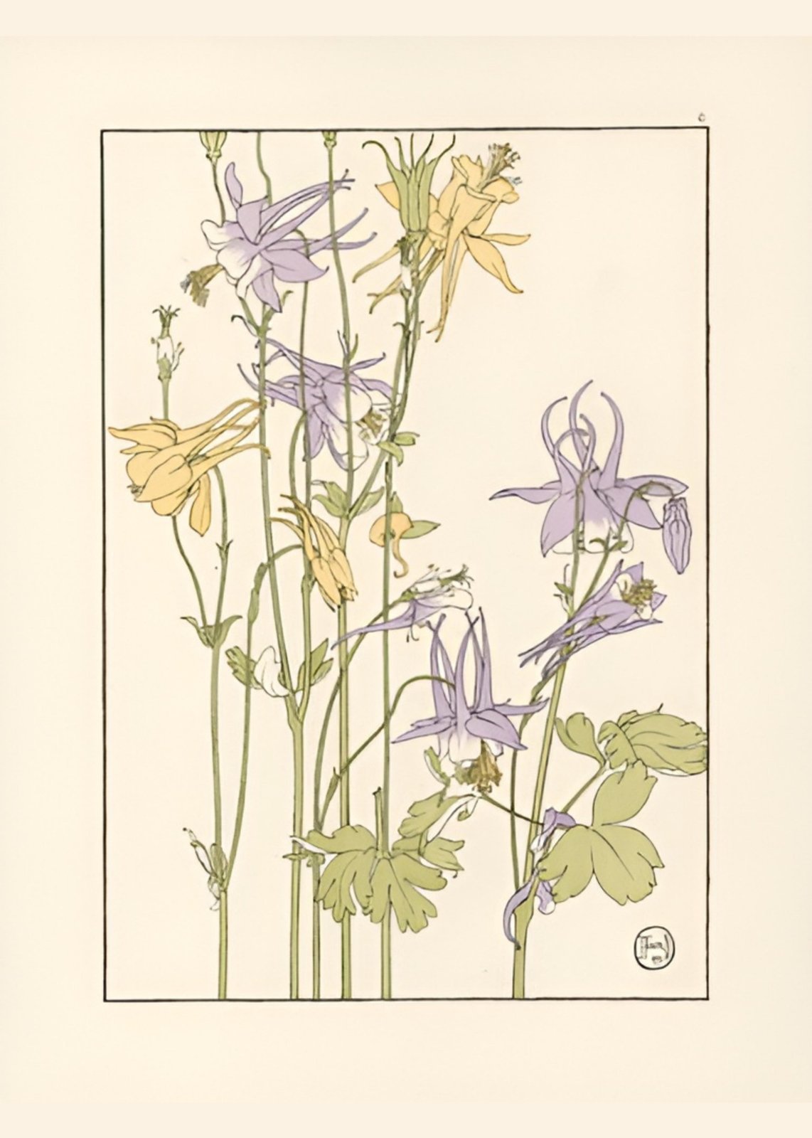 Vintage Floral Columbine Art Wall Art