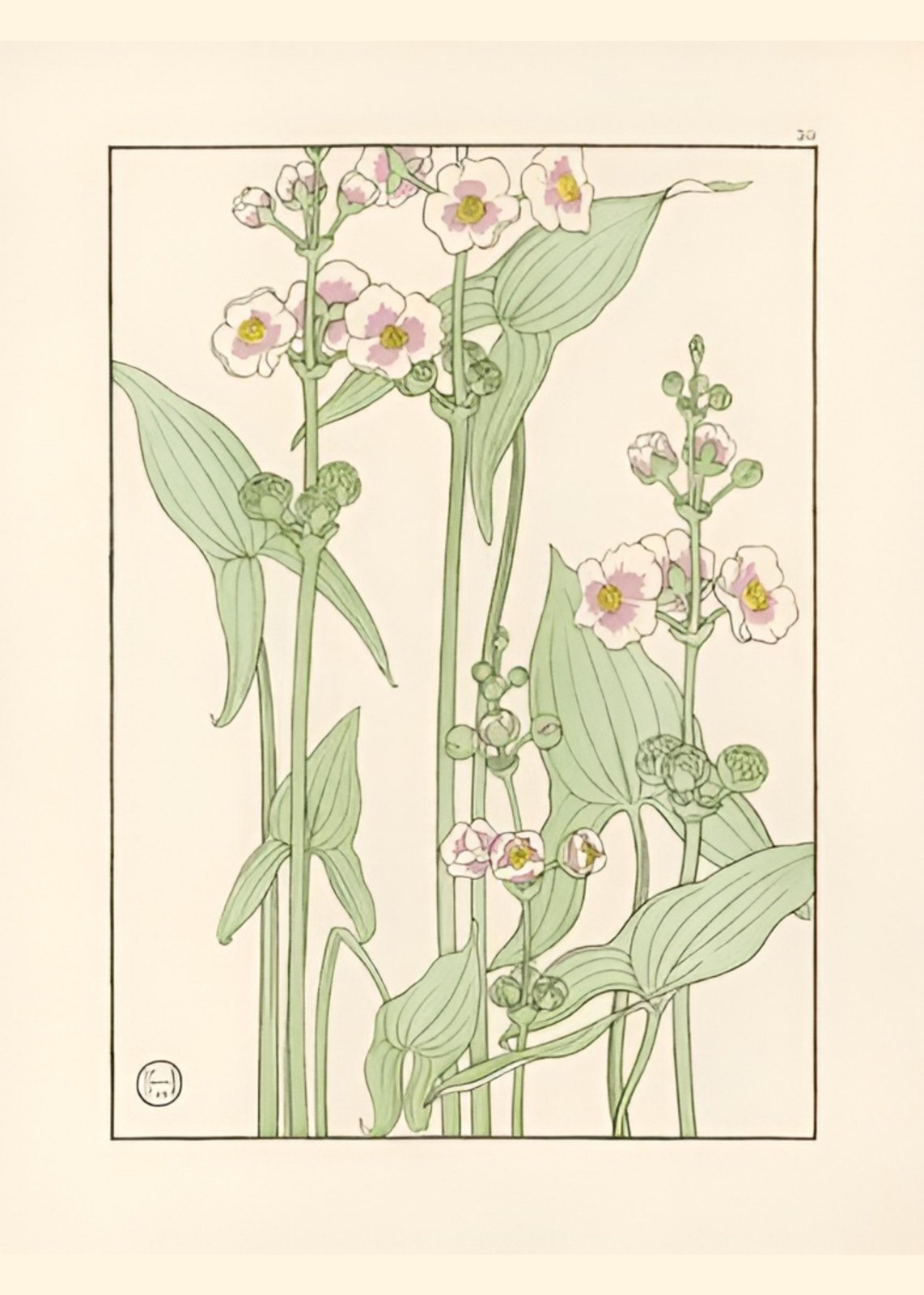 Elegant Floral Botanical Art Wall Art