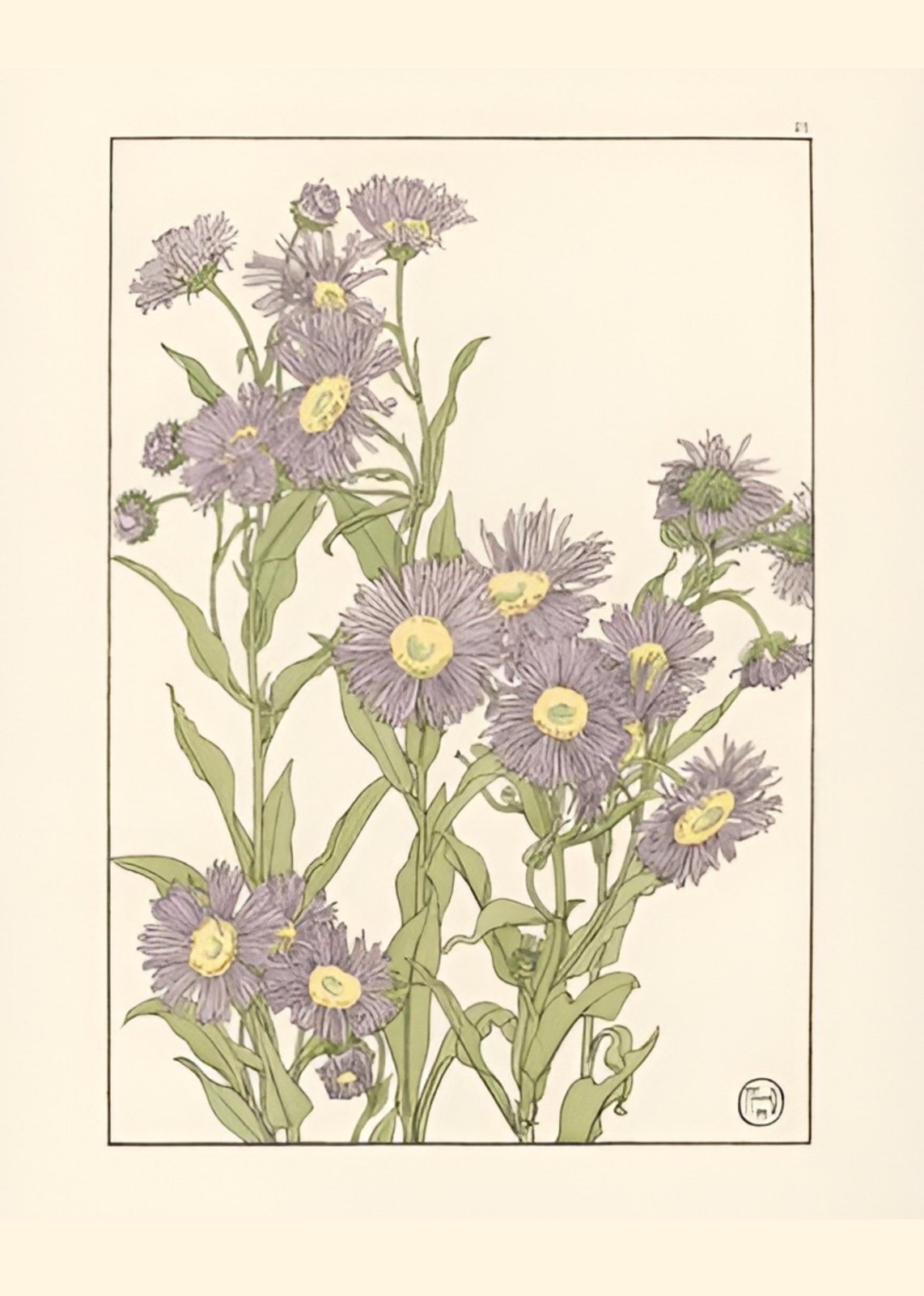 Purple Aster Floral Botanical Wall Art Wall Art