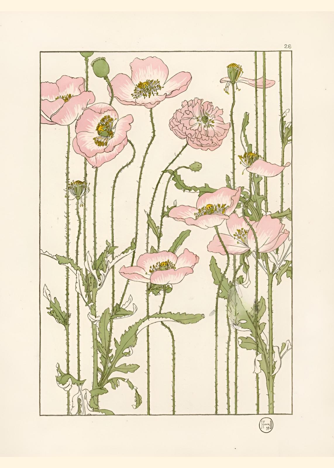 Elegant Pink Poppies Botanical Wall Art