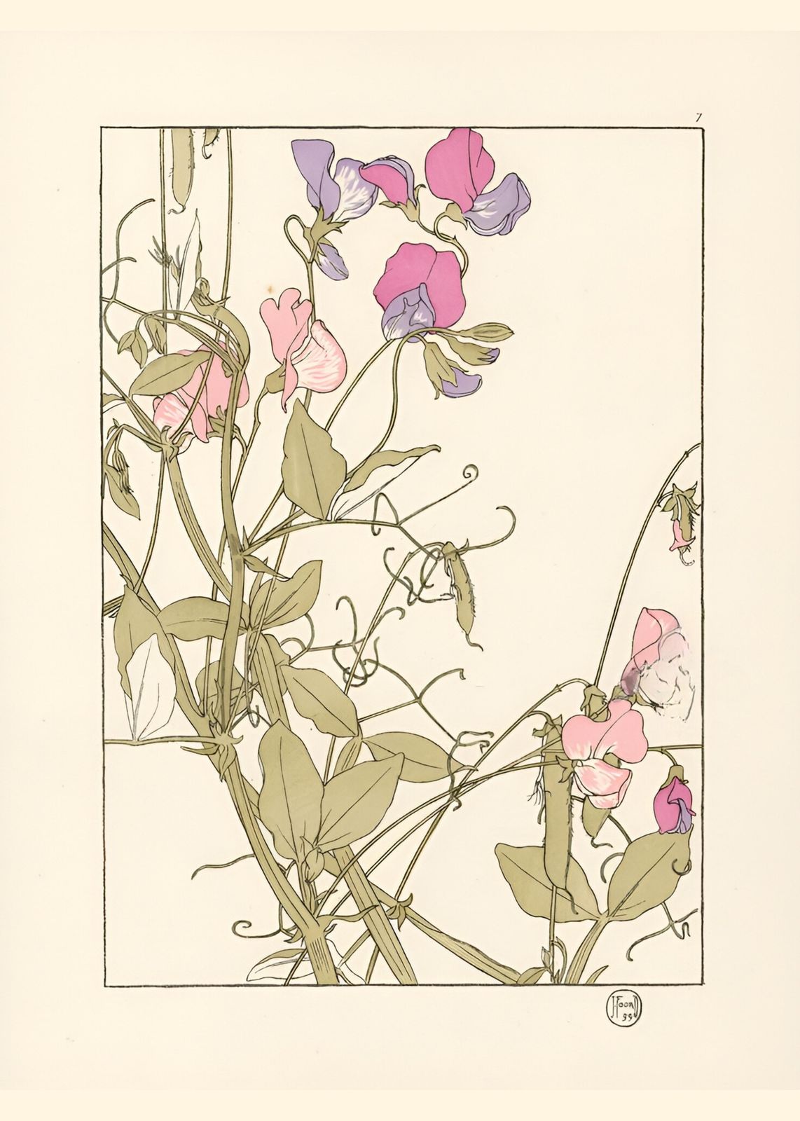 Art Nouveau Sweet Pea Botanical Wall Art