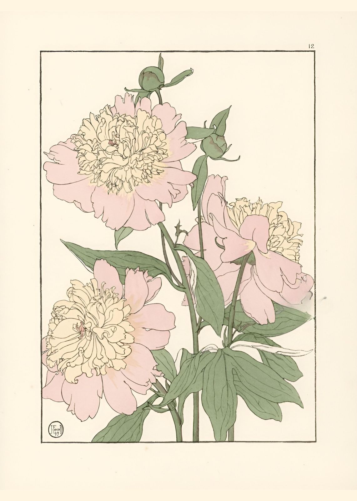 Elegant Pink Peonies Art Wall Art