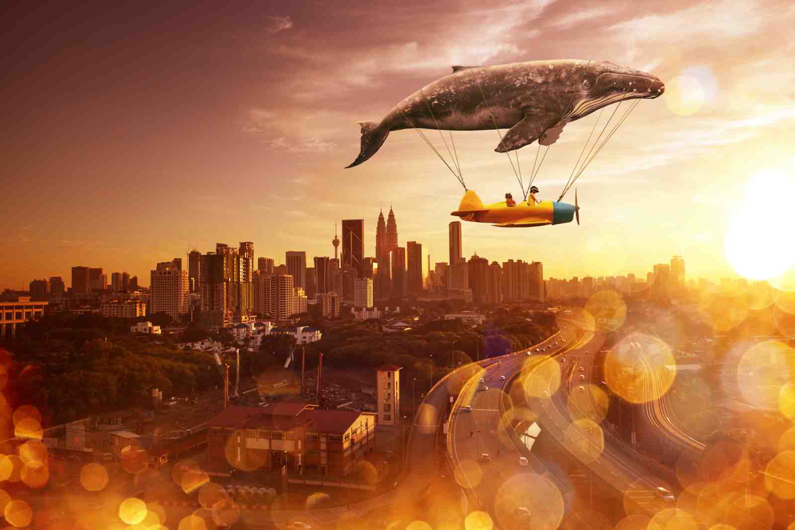 Whimsical Whale Flight Cityscape Wall Art