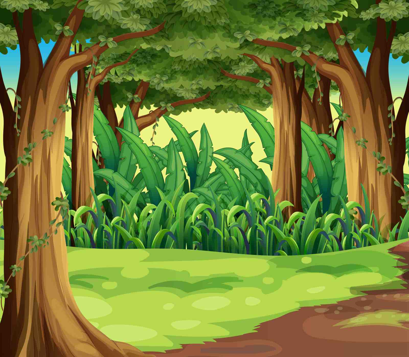 Vibrant Jungle Path Wall Art