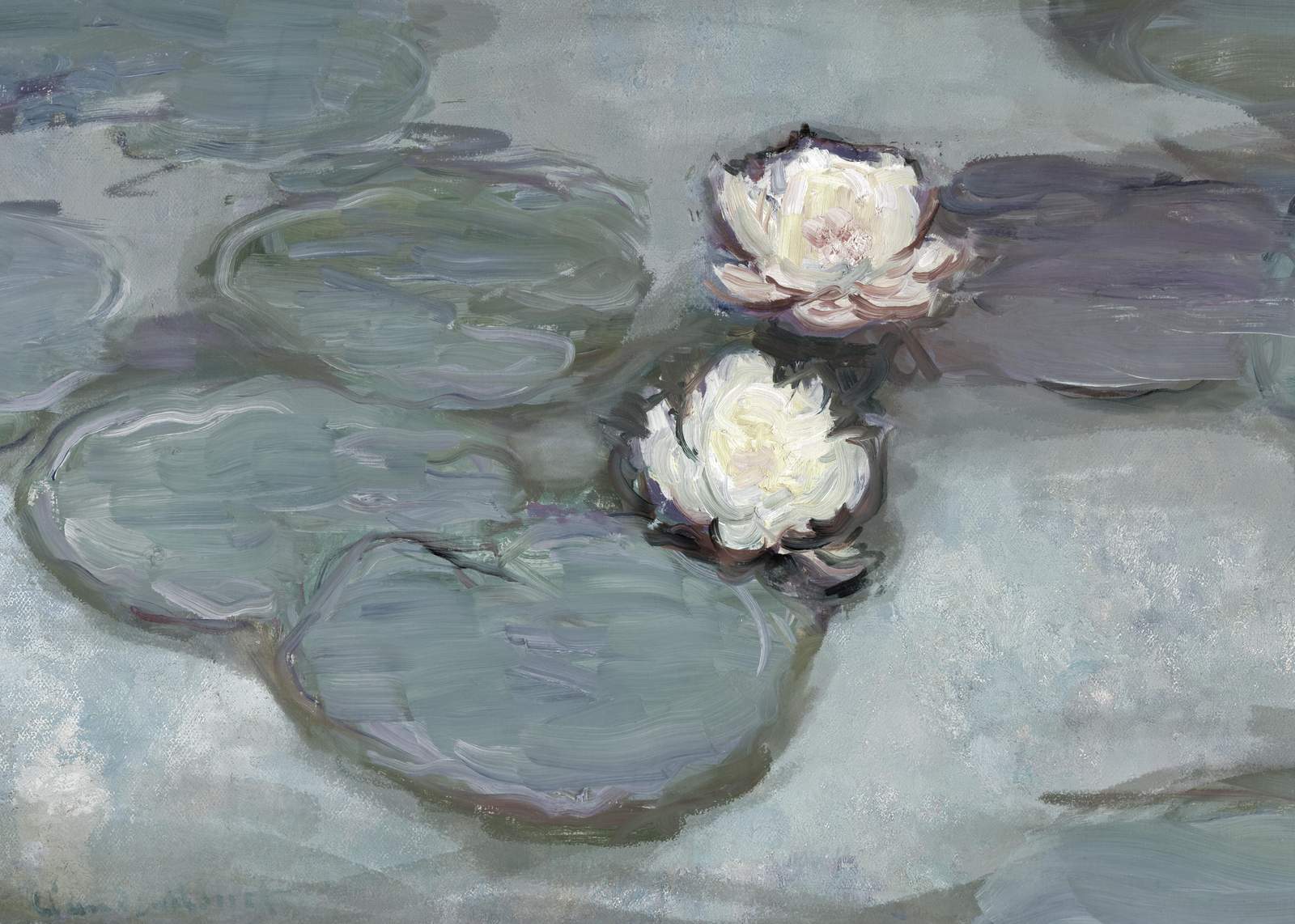 Serene Water Lily Pond Wall Art