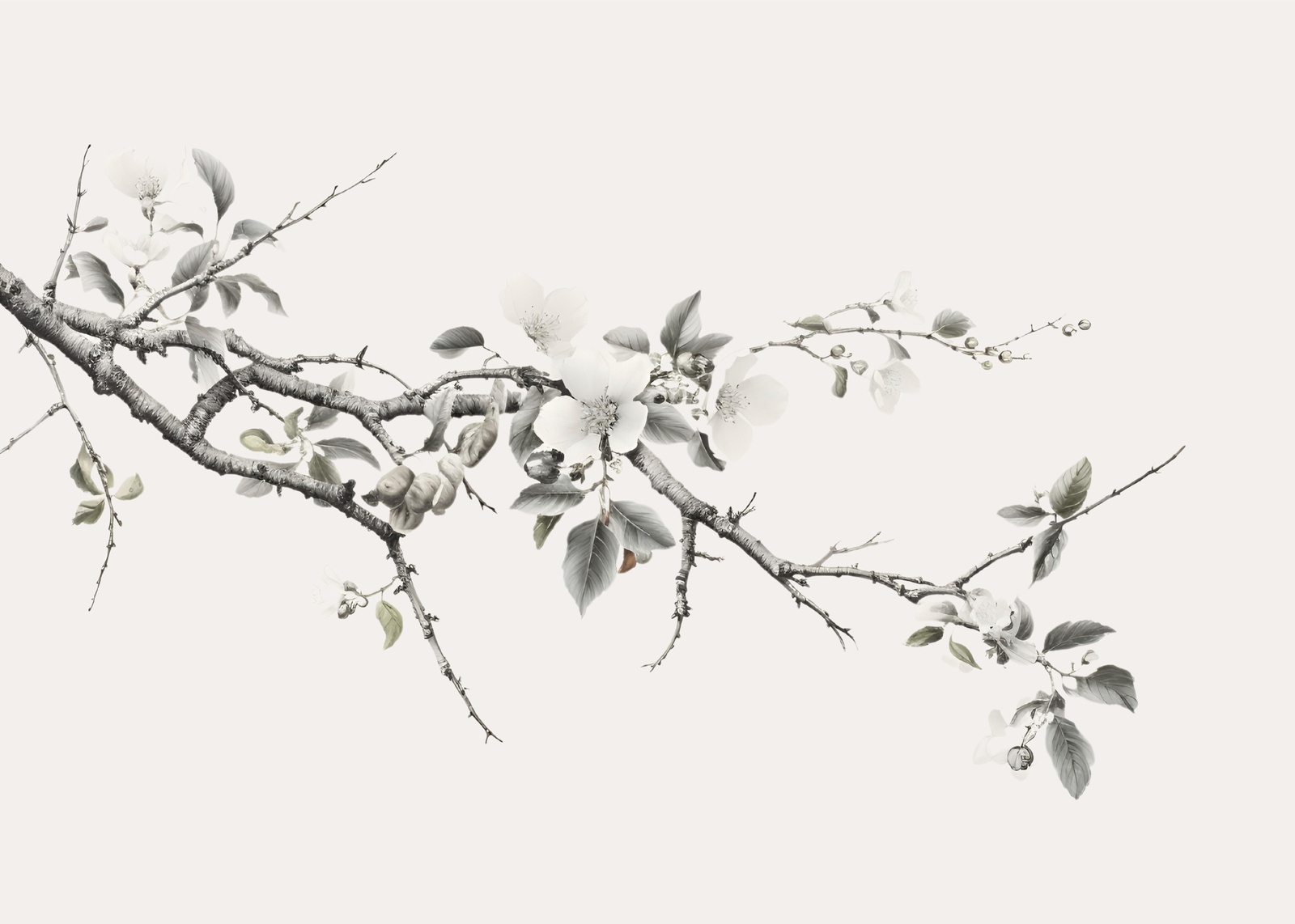 Serene Blossom Branch Wall Art