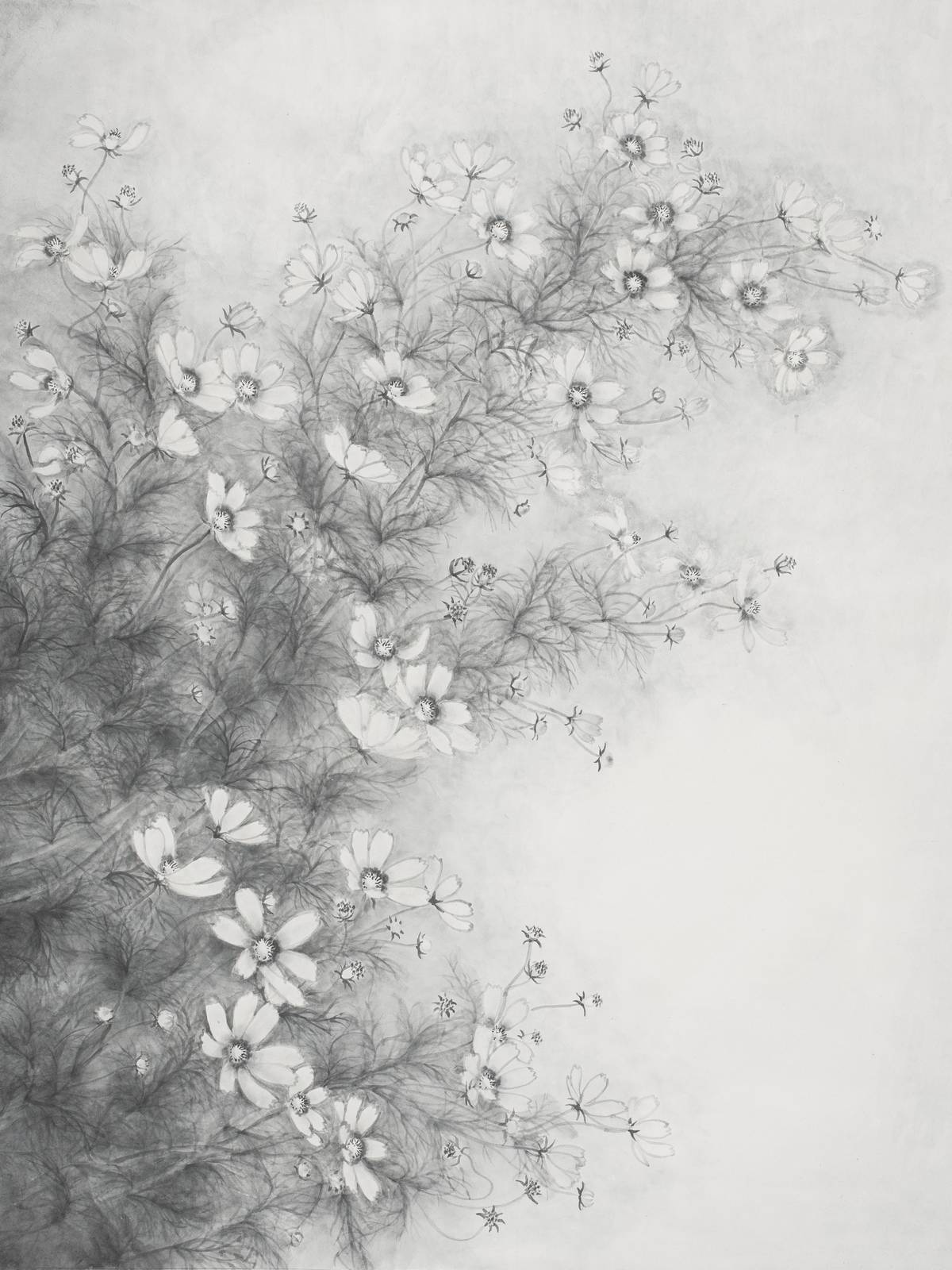 Elegant Cosmos Floral Charcoal Sketch Wall Art