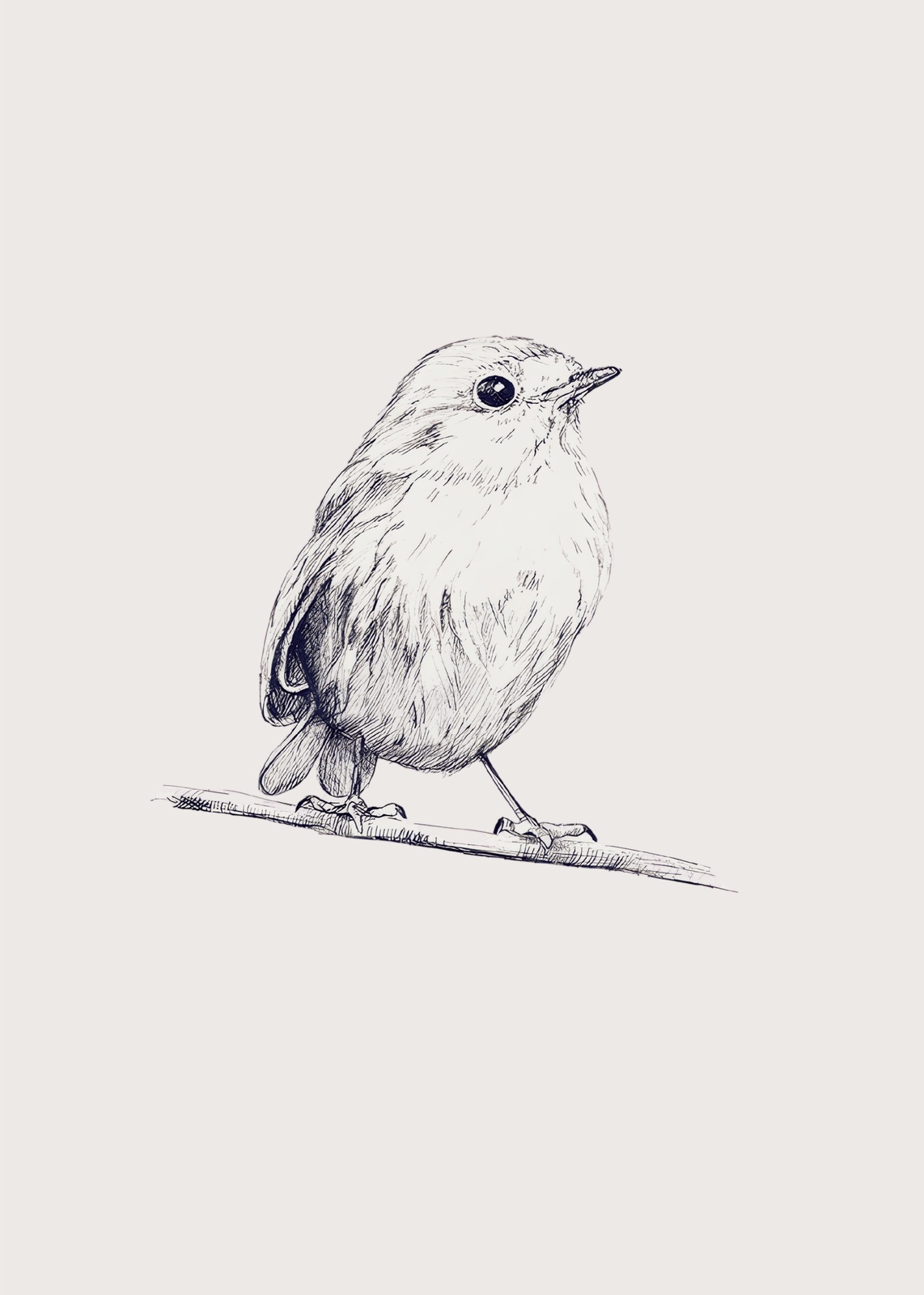 Charming Bird Sketch Wall Art | Minimalist Wall Art