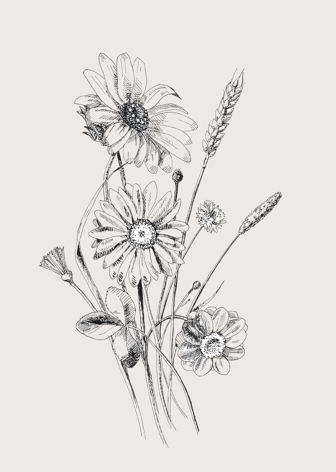Botanical Daisy Meadow Sketch Wall Art