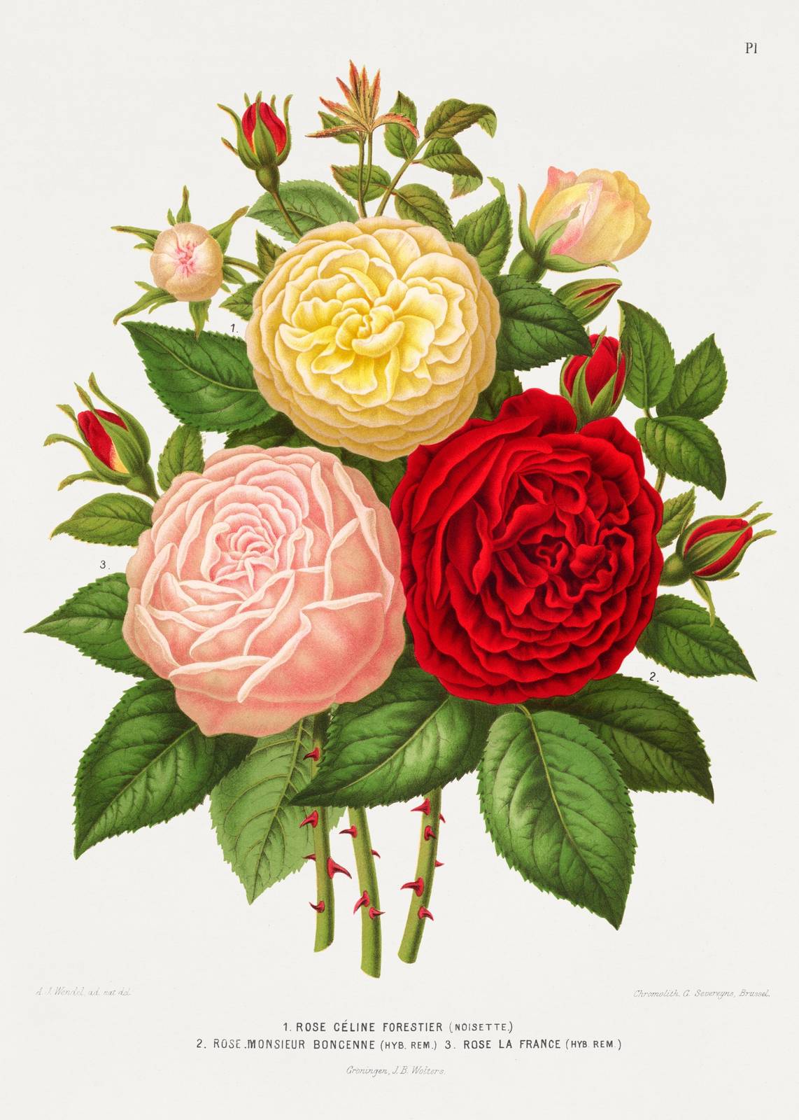 Vintage Rose Bouquet Wall Art