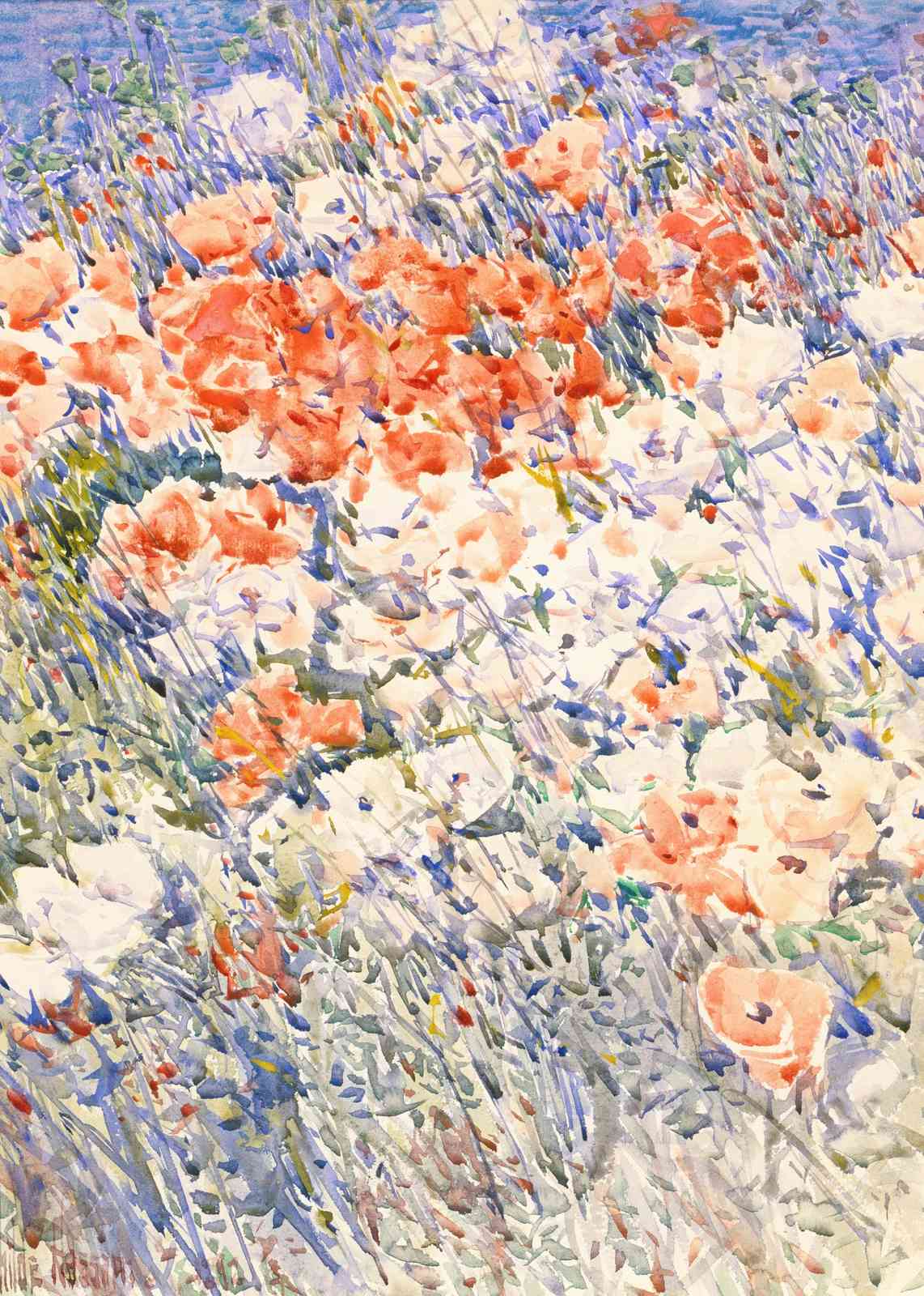 Vibrant Poppy Field Watercolor Wall Art