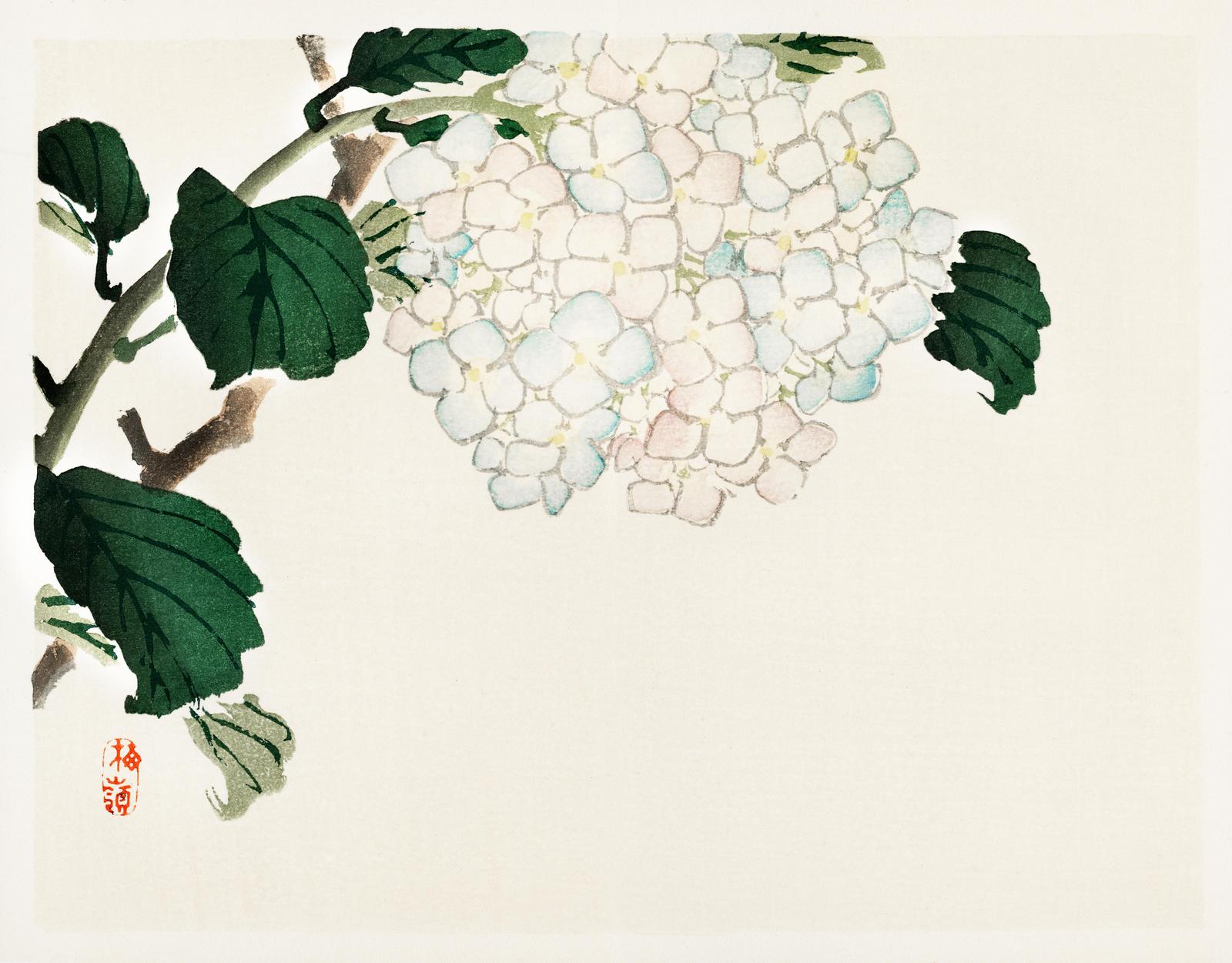 Delicate Hydrangea Blossom Wall Art