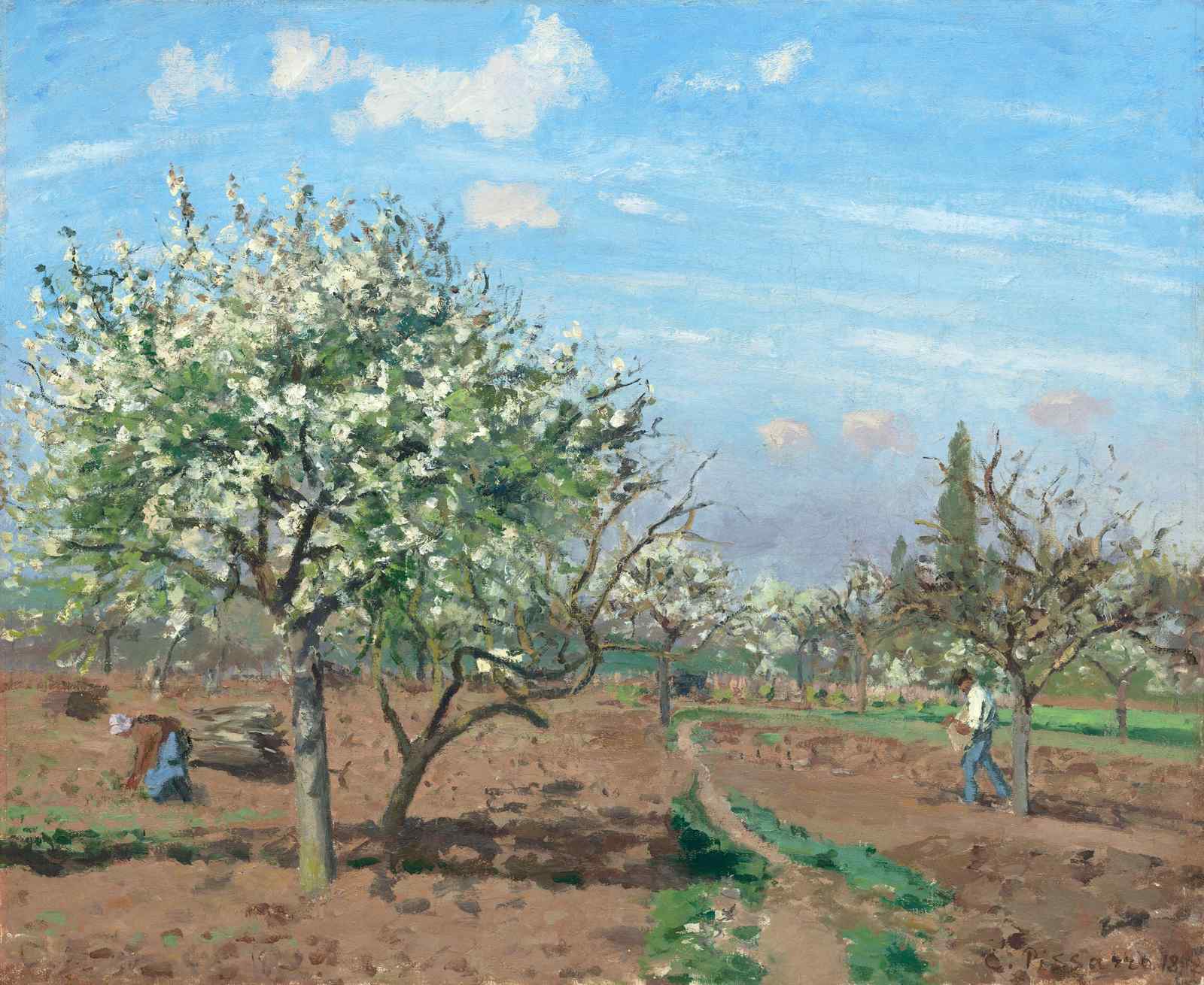 Blossoming Orchard Spring Landscape Wall Art