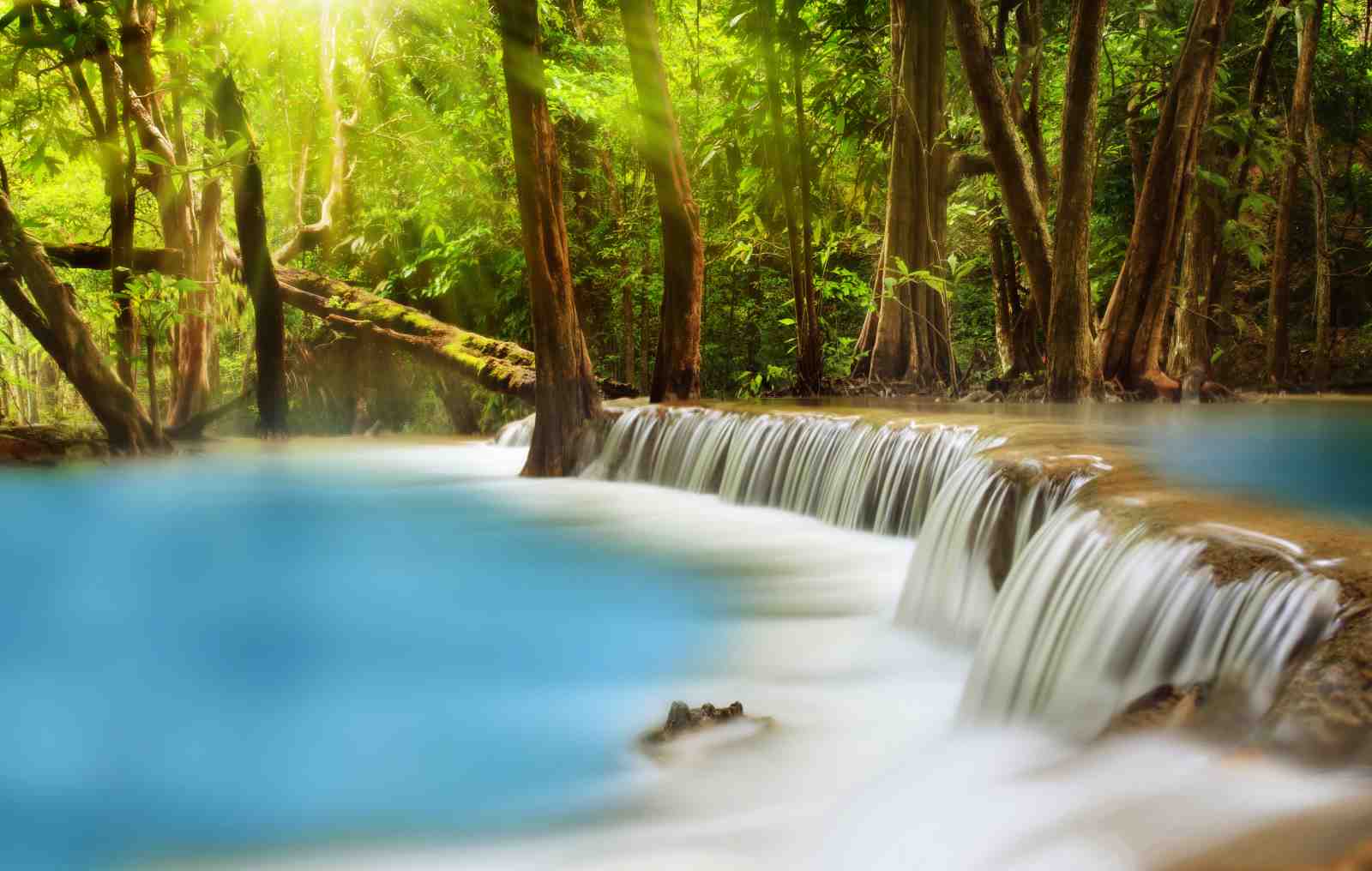 Tranquil Waterfall Tropical Forest Wall Art