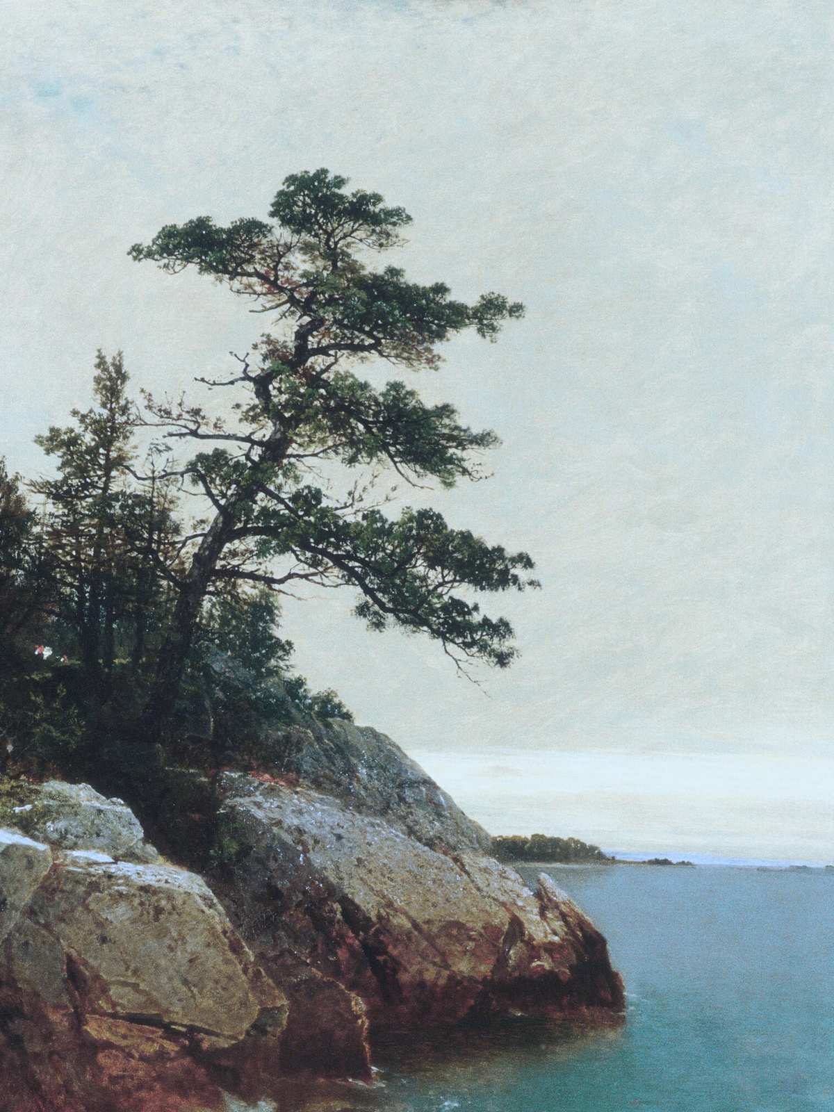 Serene Coastal Pine & Rocky Shore Wall Art