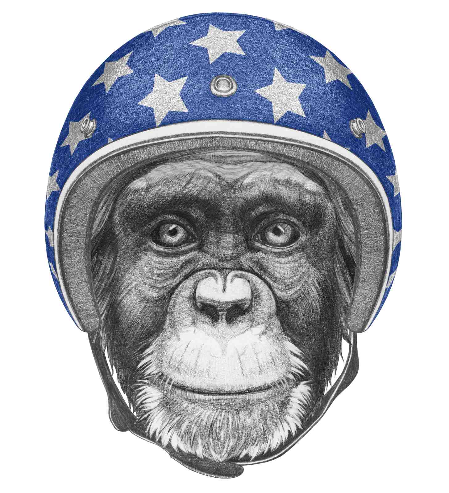 Chimpanzee Star Helmet Pencil Sketch Wall Art