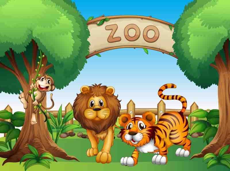 Whimsical Zoo Animals Lion Tiger Monkey Wall Art