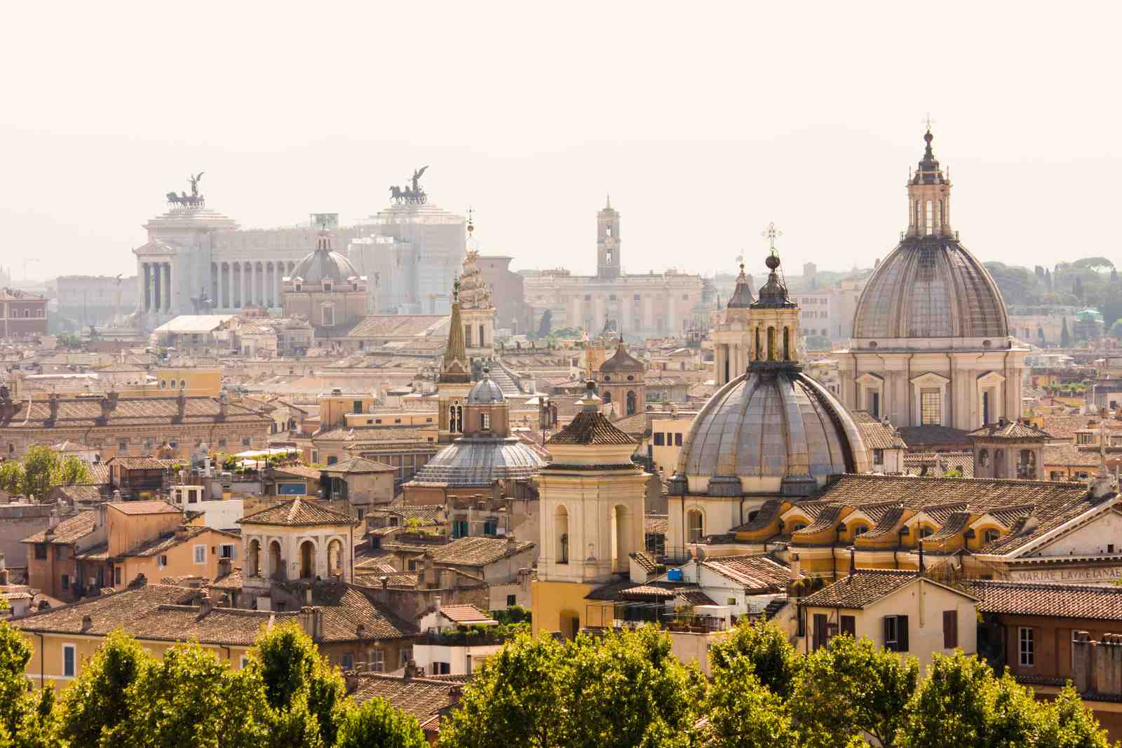 Rome Skyline Domes Wall Art