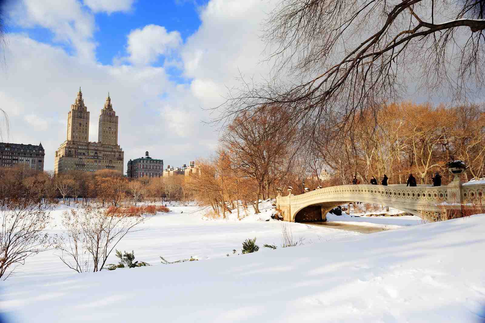 Central Park Winter Bridge Wall Art