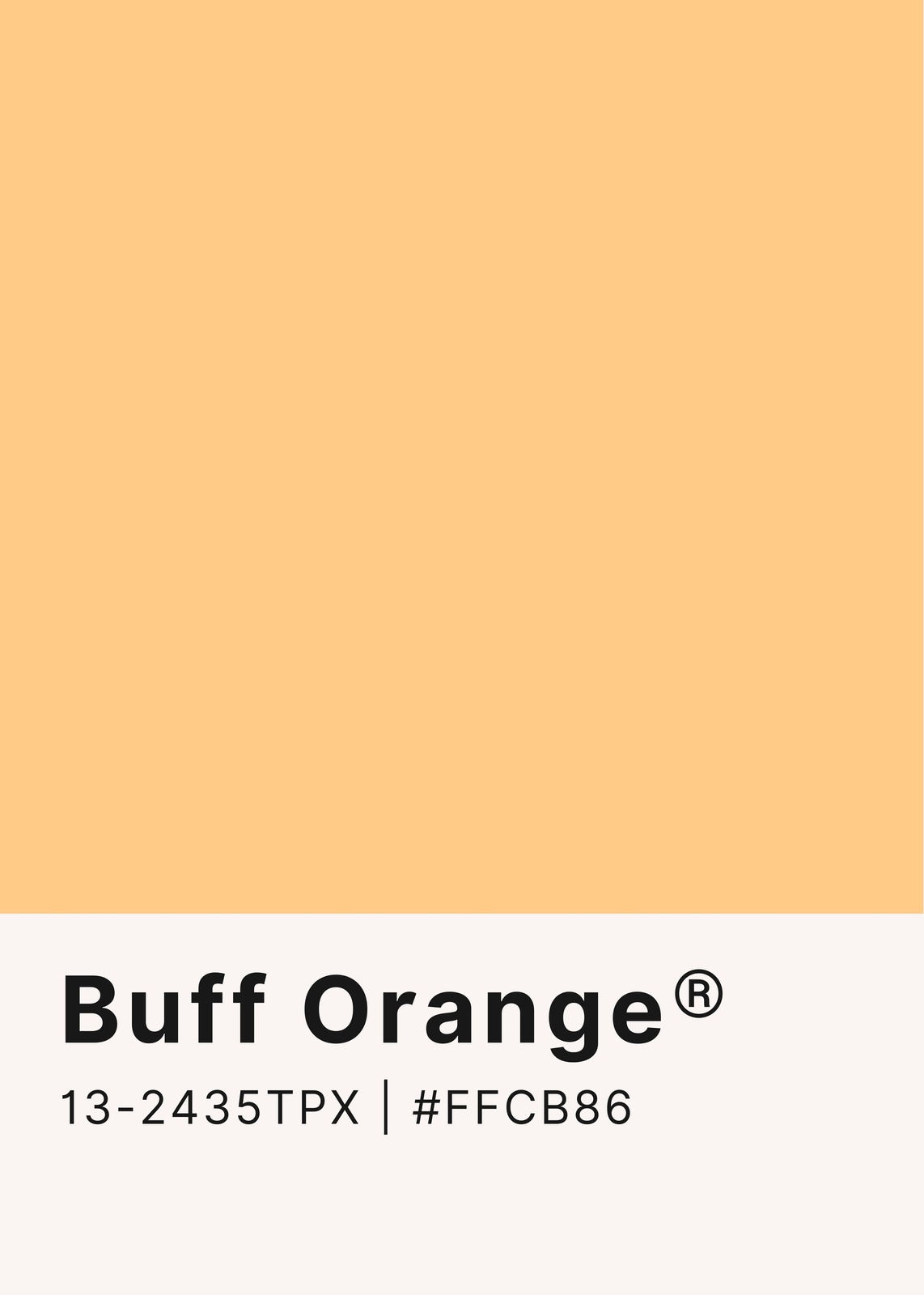 Warm Buff Orange Solid Color Wall Art Wall Art