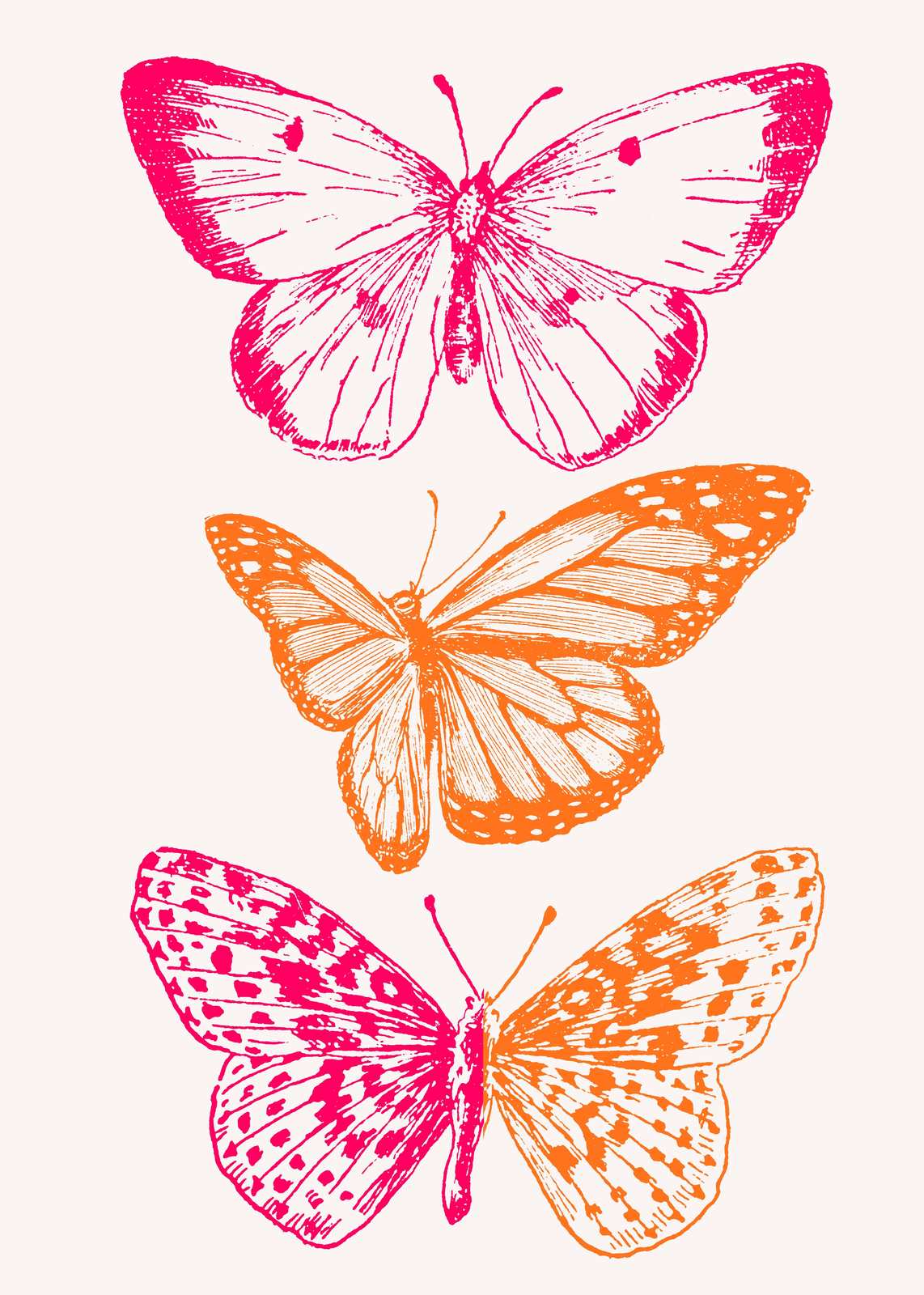 Vibrant Butterfly Duo Wall Art