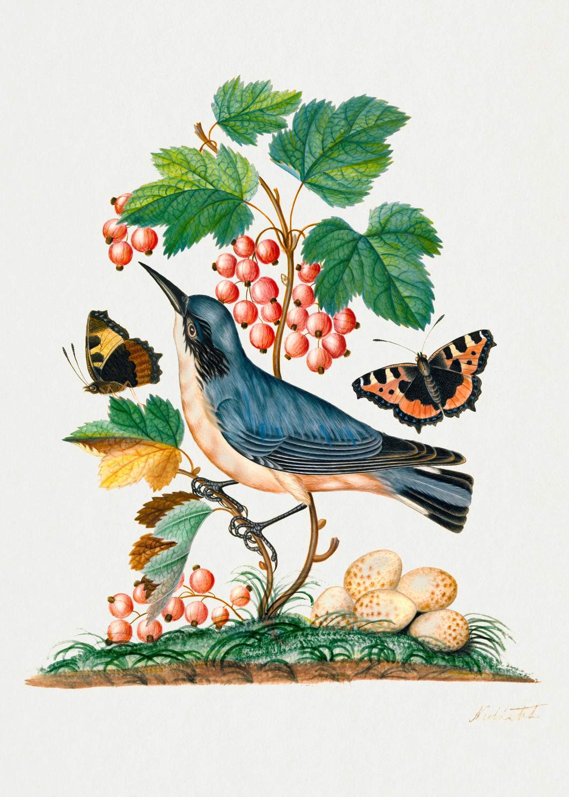 Vintage Bird & Butterfly Botanical Wall Art