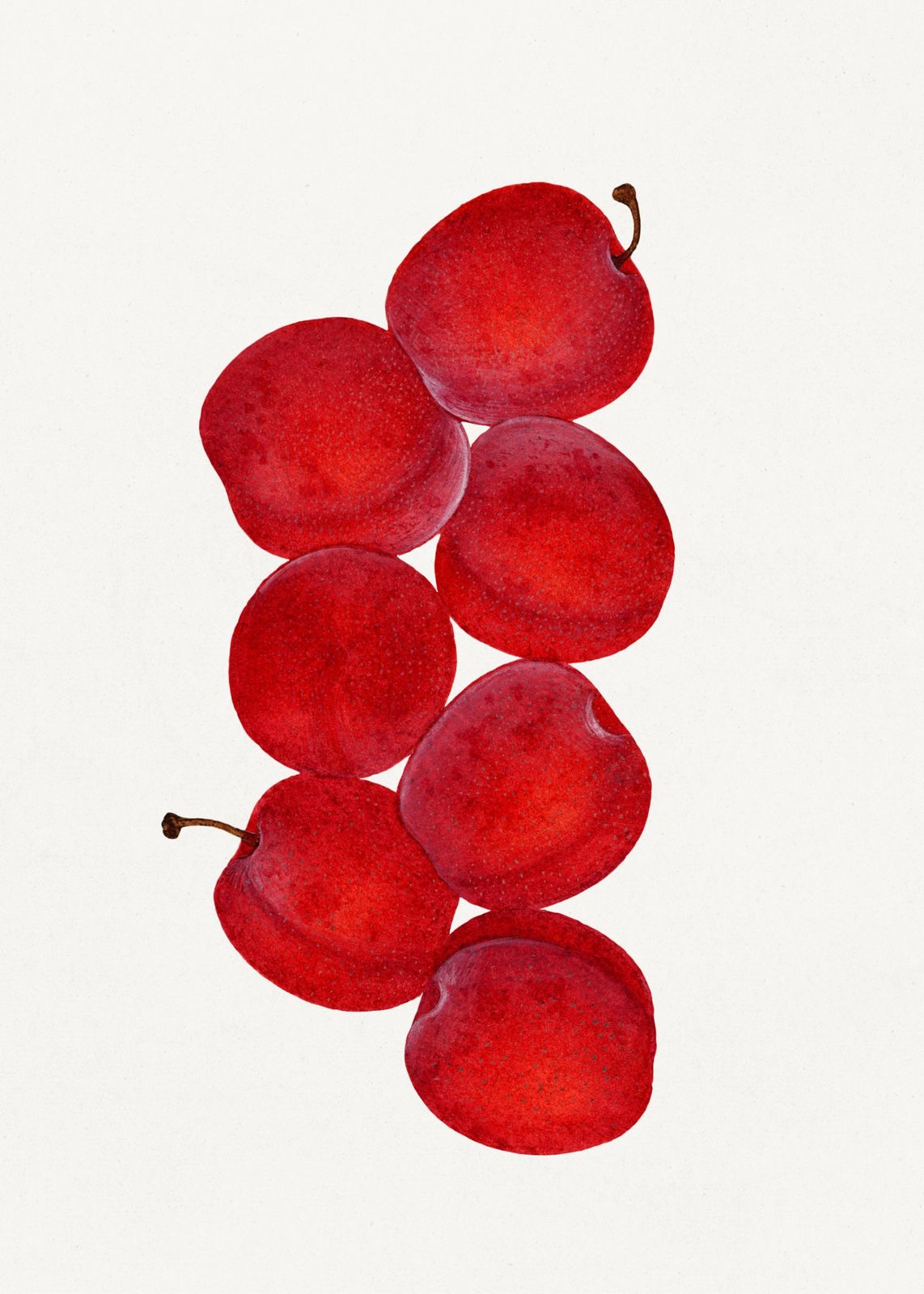 Vibrant Red Plums Still Life Wall Art