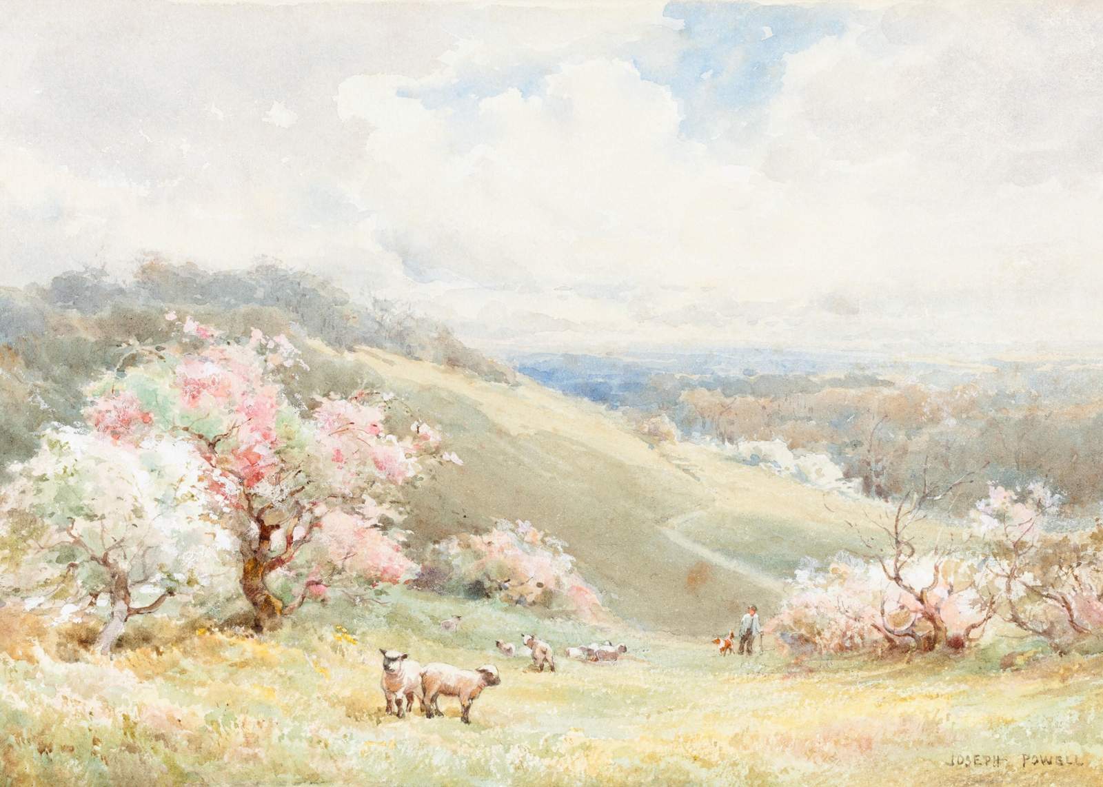 Pastoral Spring Landscape Sheep Wall Art