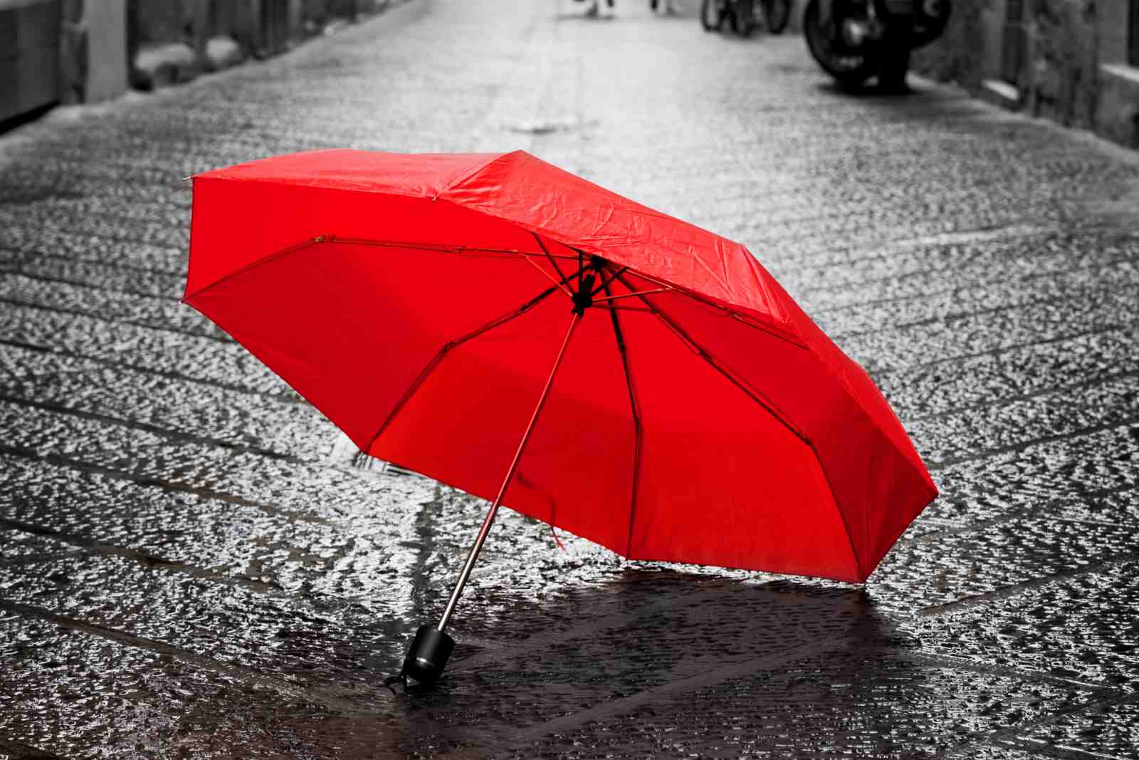 Vibrant Red Umbrella on Wet Cobblestone Wall Art