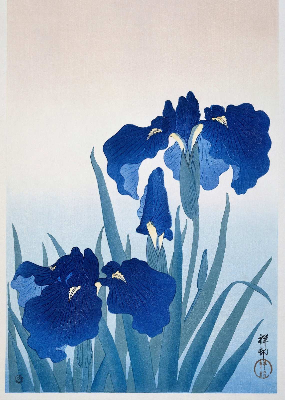 Vibrant Blue Irises Wall Art - Japanese Art