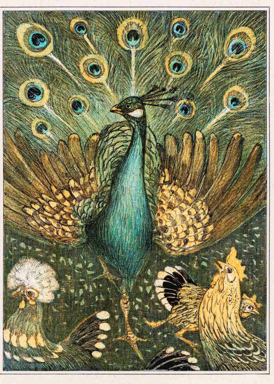 Majestic Peacock & Hens Vintage Art Wall Art