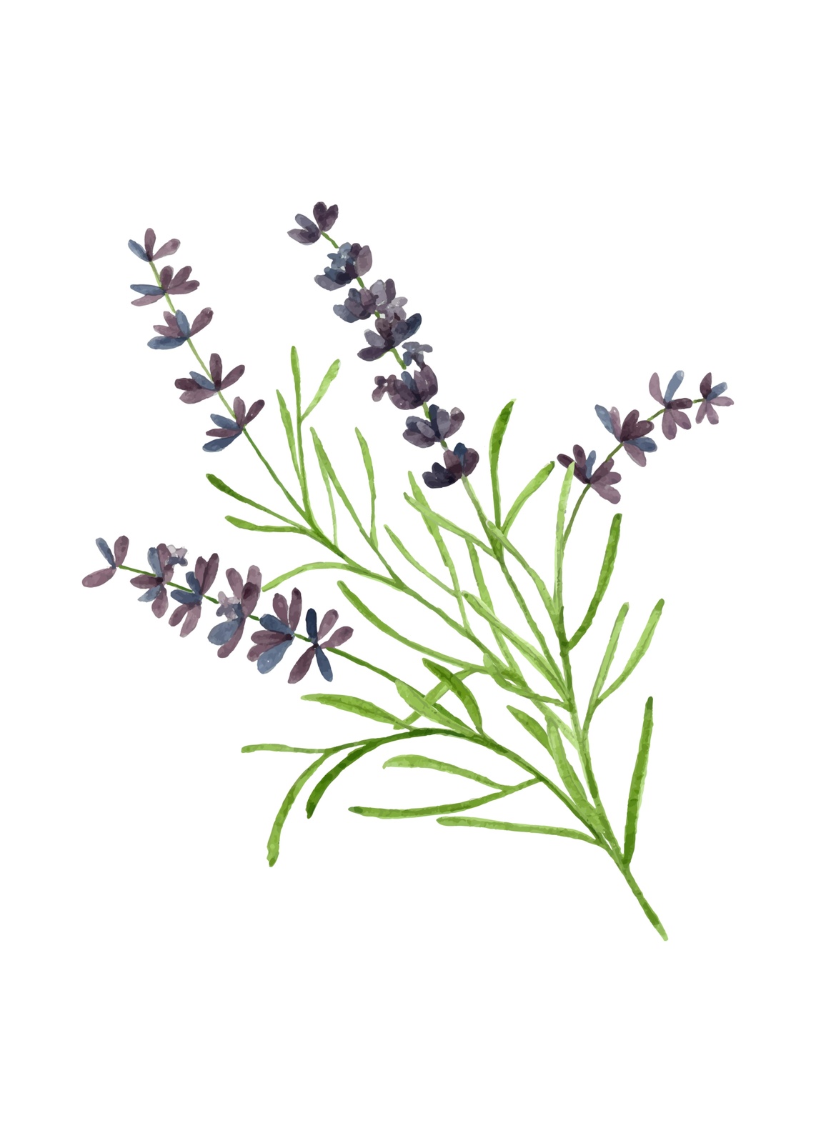 Elegant Lavender Sprig Watercolor Wall Art