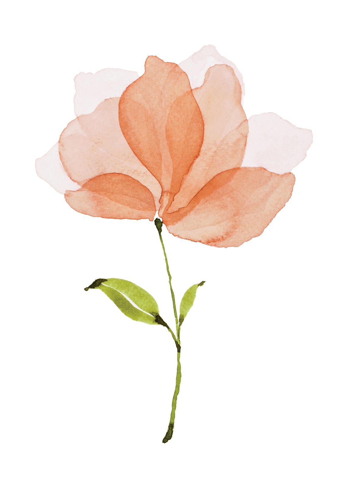 Soft Peach Floral Watercolor Wall Art