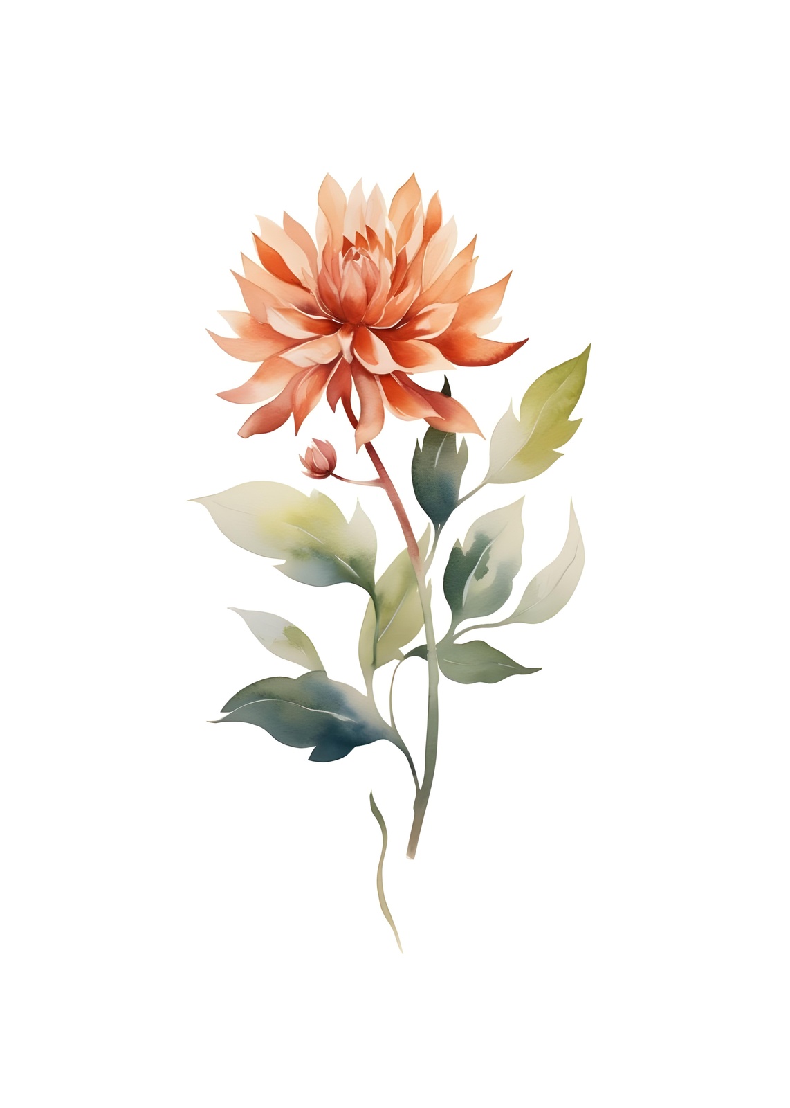 Watercolor Dahlia Bloom Wall Art - Floral Wall Art
