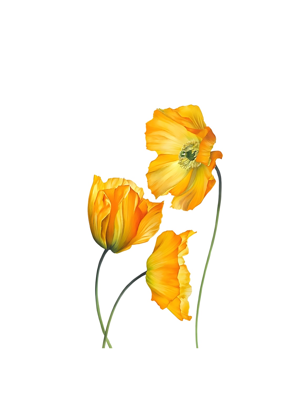 Vibrant Yellow Poppy Trio Wall Art
