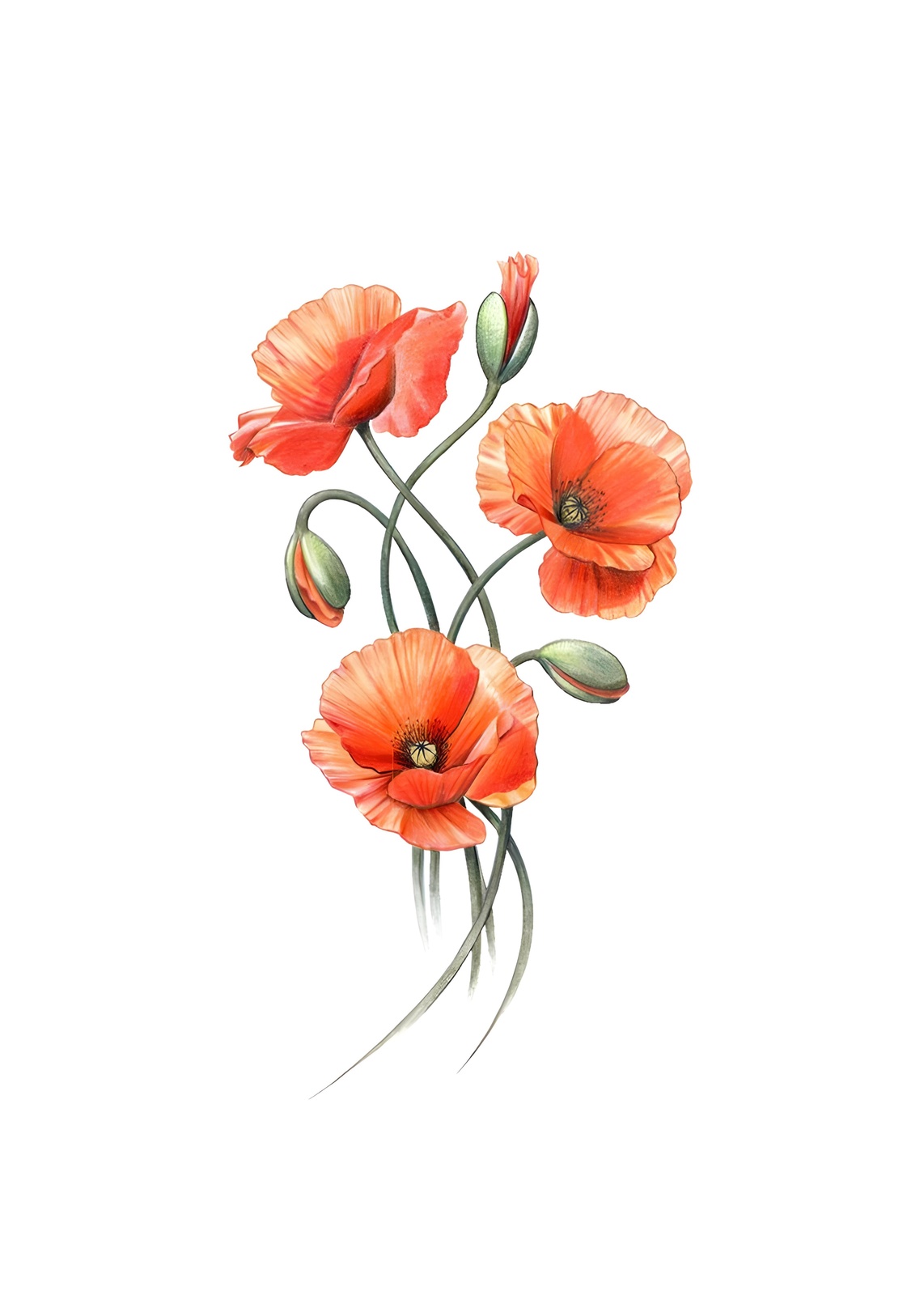 Vibrant Red Poppies Floral Watercolor Wall Art