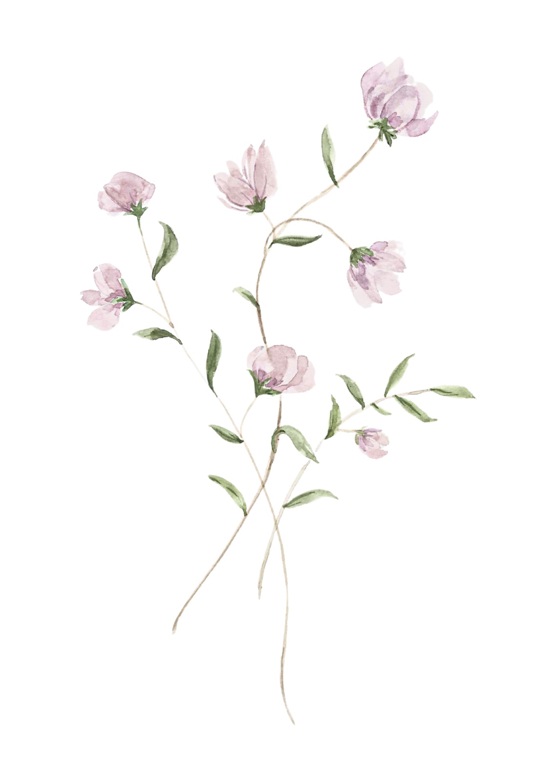 Delicate Pink Floral Watercolor Wall Art