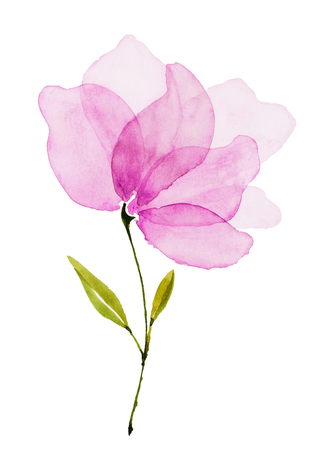 Pink Watercolor Flower Art Wall Art