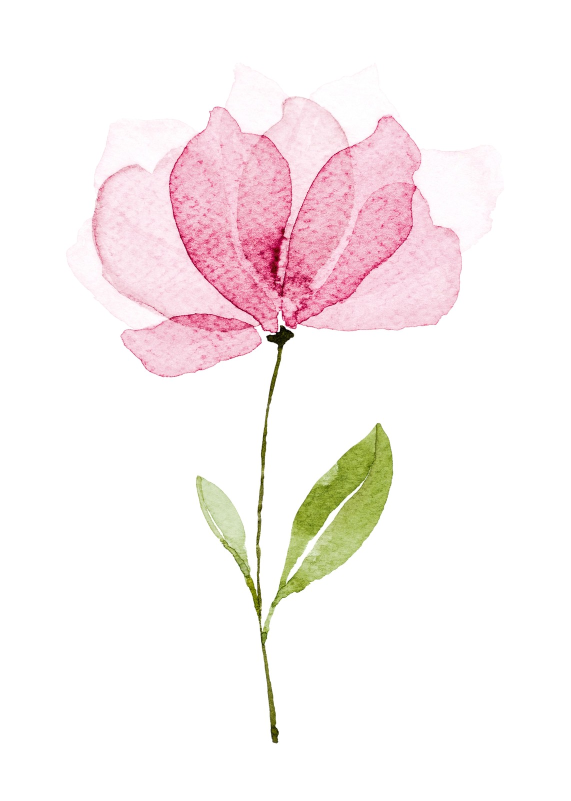 Elegant Pink Watercolor Flower Wall Art