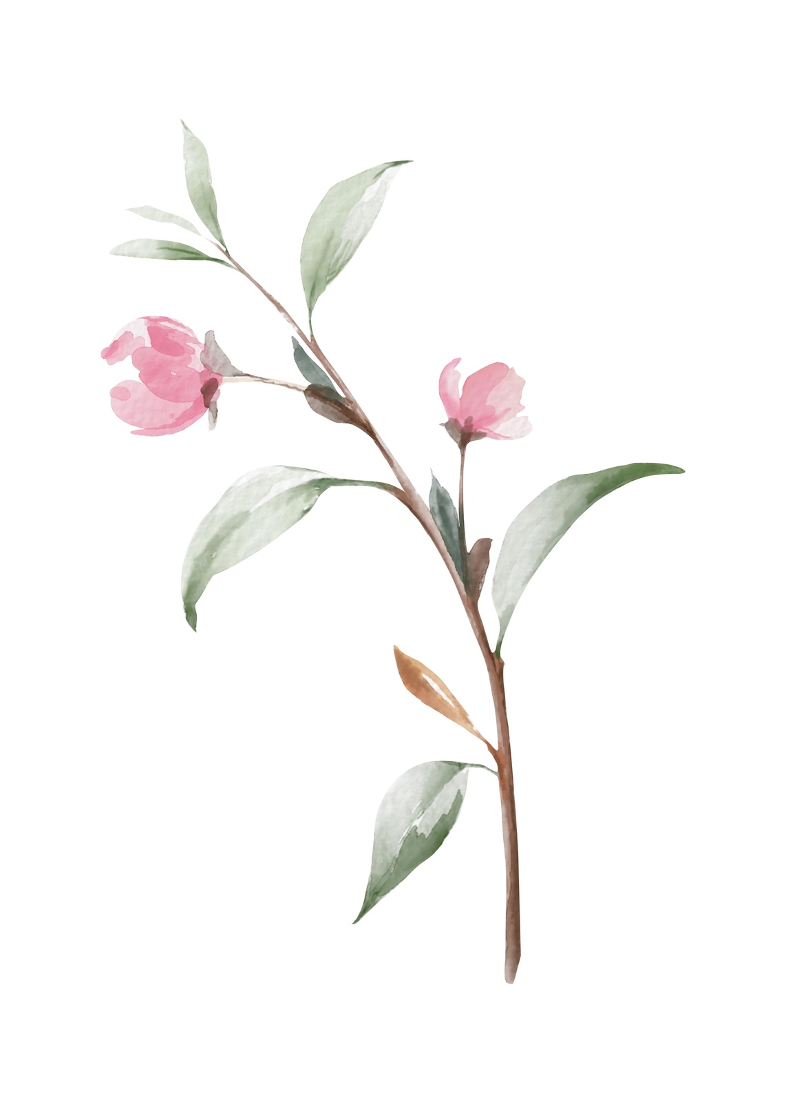 Delicate Pink Blossom Branch Wall Art