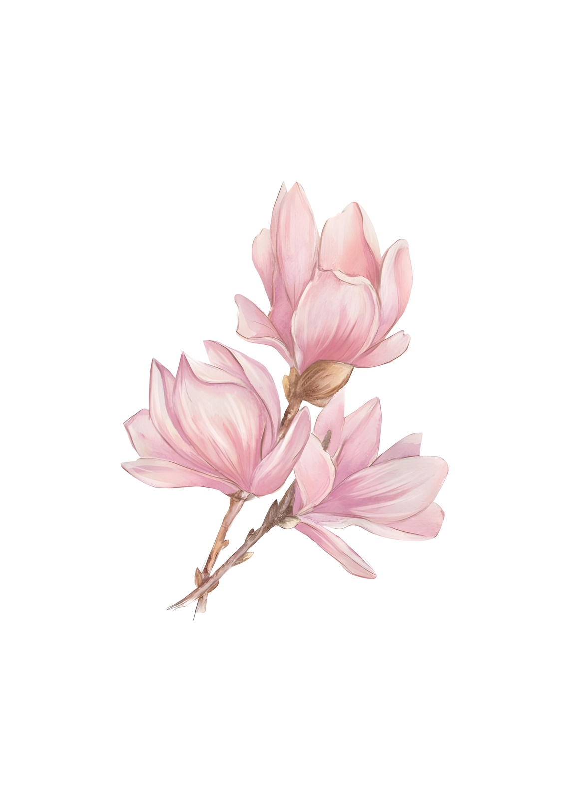 Blush Magnolia Floral Wall Art Wall Art