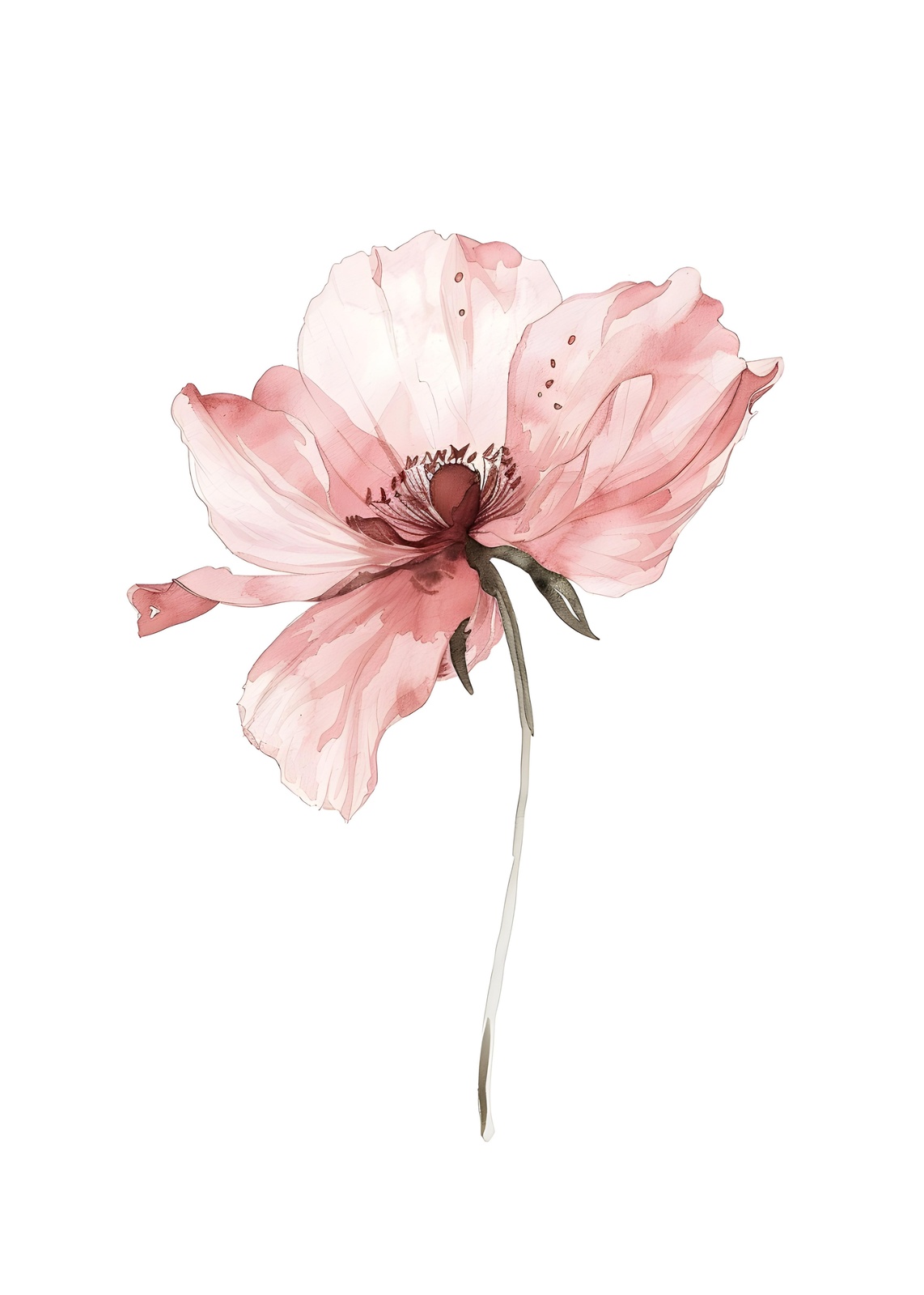 Elegant Pink Poppy Watercolor Wall Art