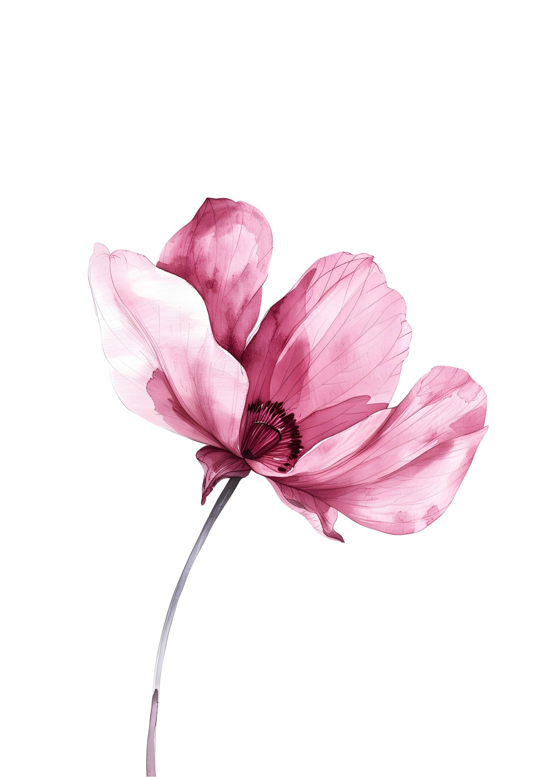 Elegant Pink Floral Watercolor Wall Art