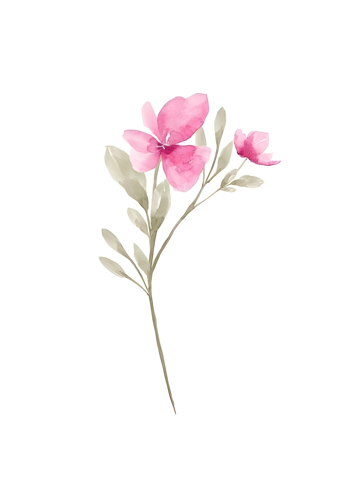 Delicate Pink Floral Watercolor Wall Art