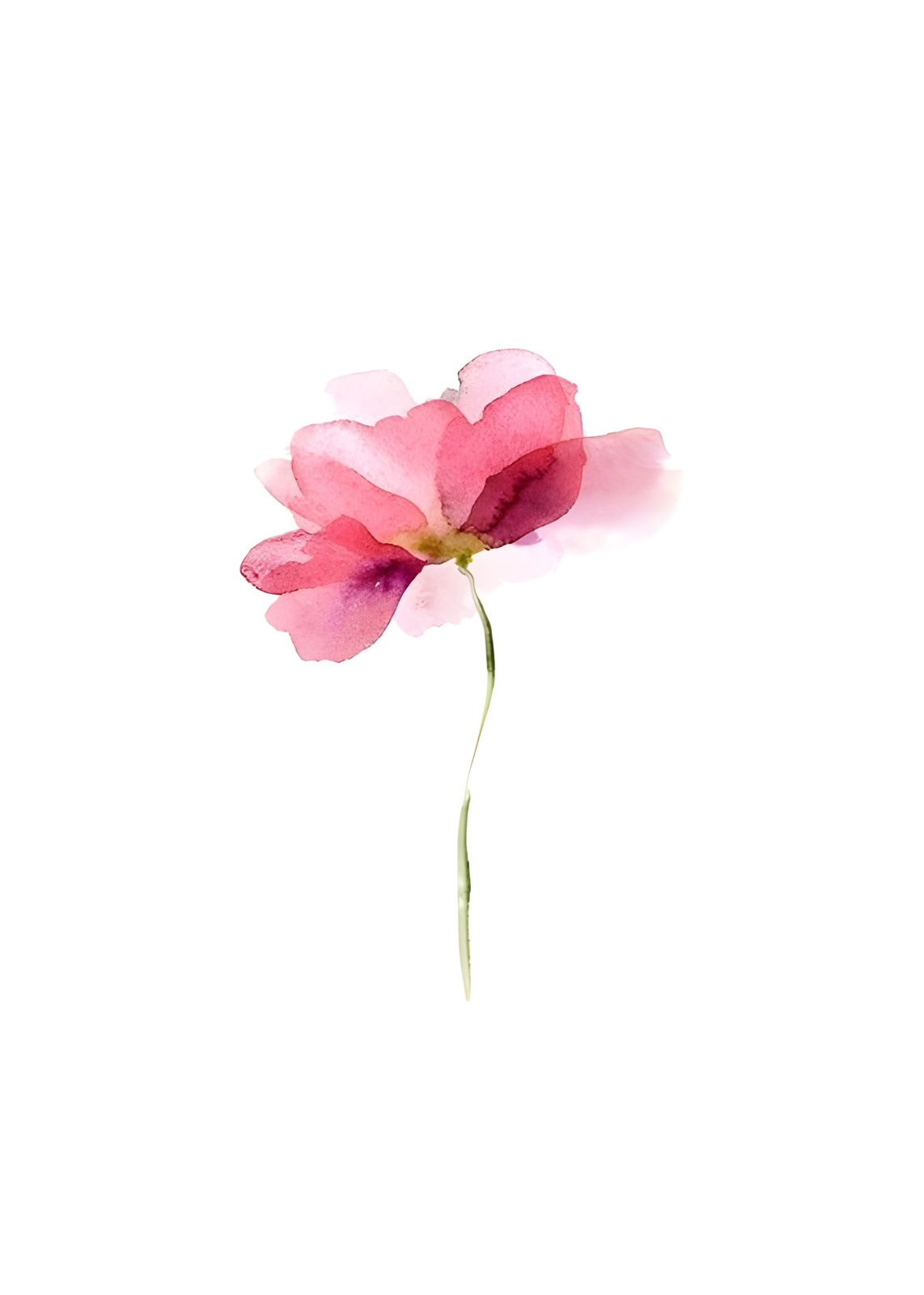 Delicate Pink Blossom Watercolor Wall Art