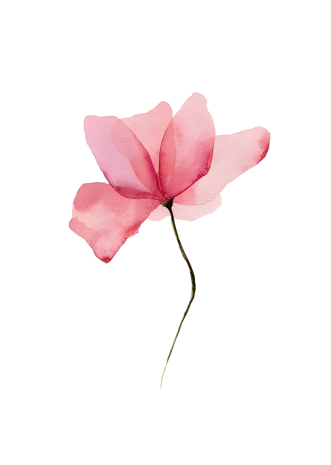 Blush Pink Watercolor Flower Wall Art