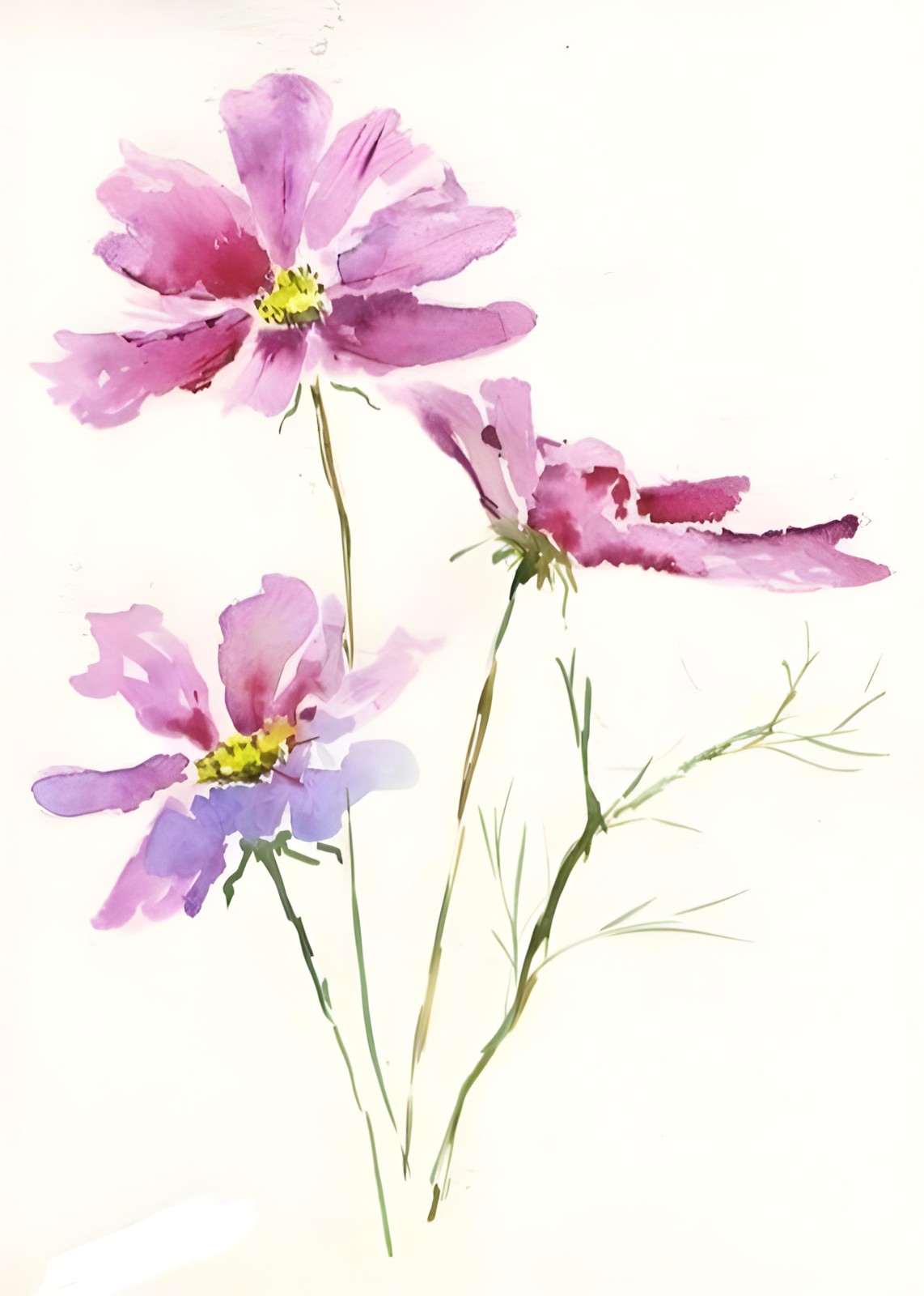 Pink Cosmos Watercolor Floral Wall Art
